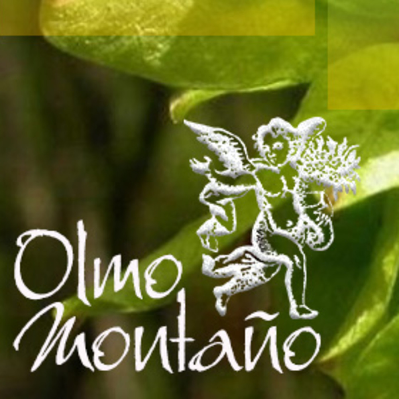 El Ángel de tu Salud - OLMO MONTANO I episode artwork