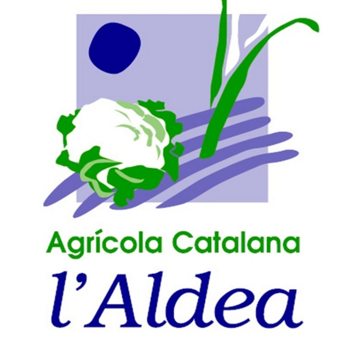 Hora 14 Ebre 05-12-2023 episode artwork
