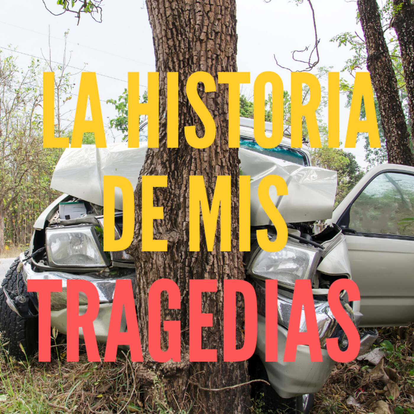 Despertar con Sentido