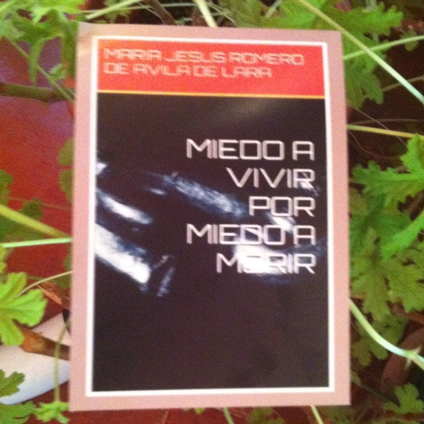 NOVELA MIEDO A VIVIR POR MEDO A MORIR CAPITULO DOCE episode artwork