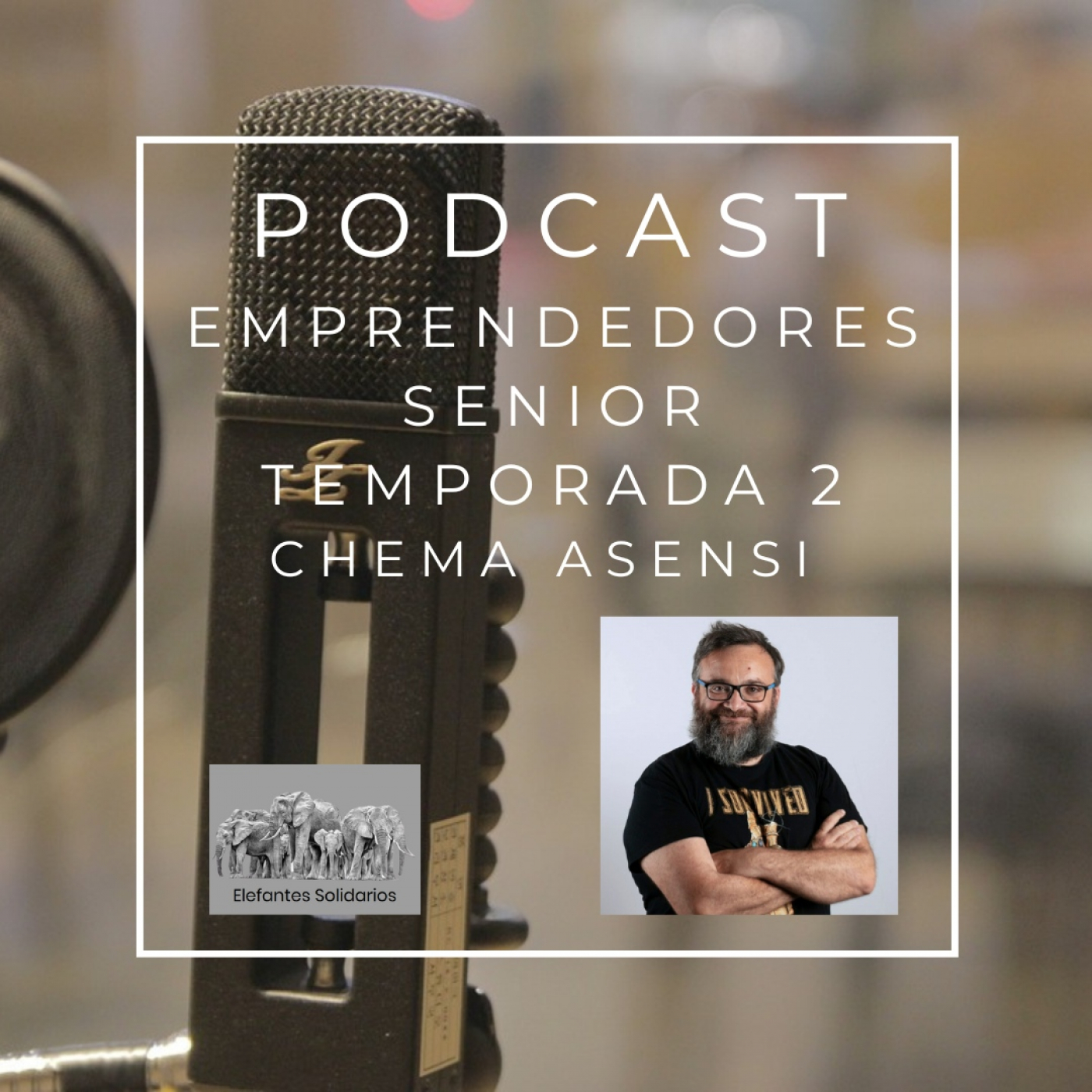 Episodio 23 T2 - Chema Asensi Hablamos de videos serios y gamificación