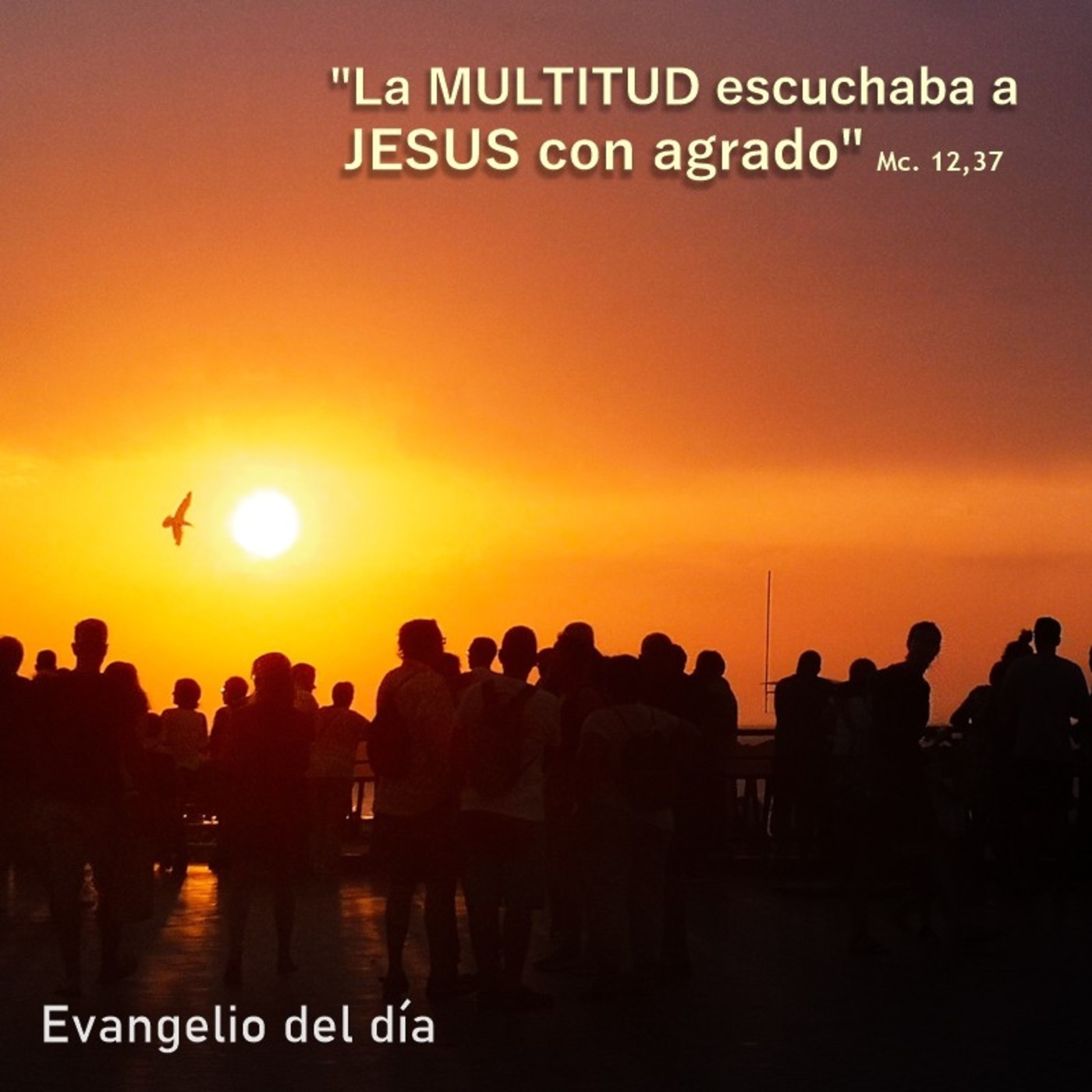 5 de junio de 2020