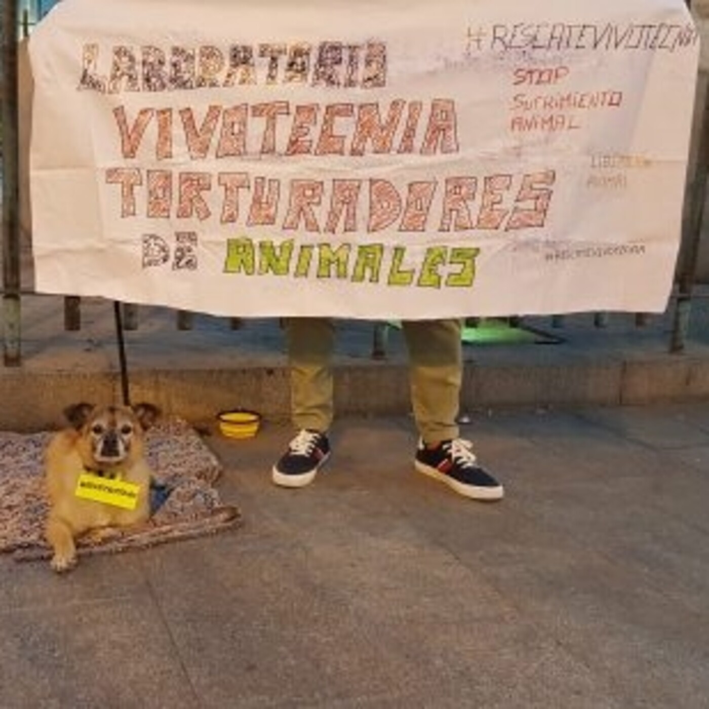 #57 Tras el rastro de la experimentación animal