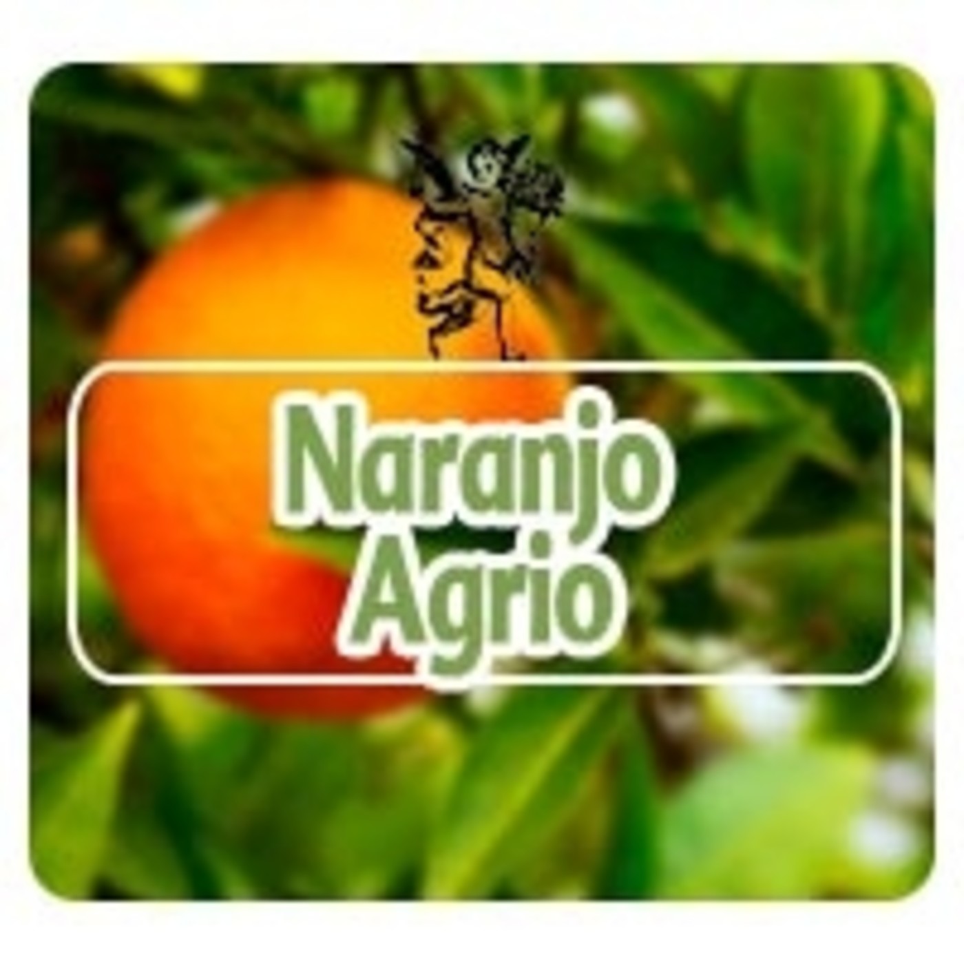 El Angel de tu Salud - NARANJO AGRIO episode artwork