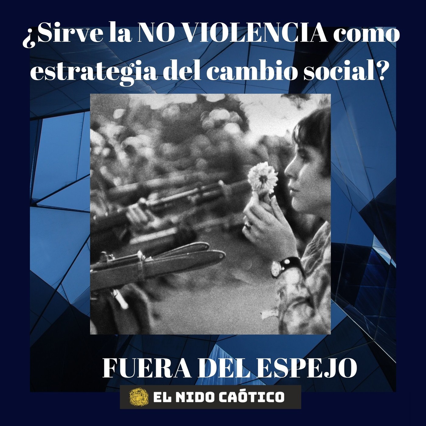 EL NIDO CAÓTICO