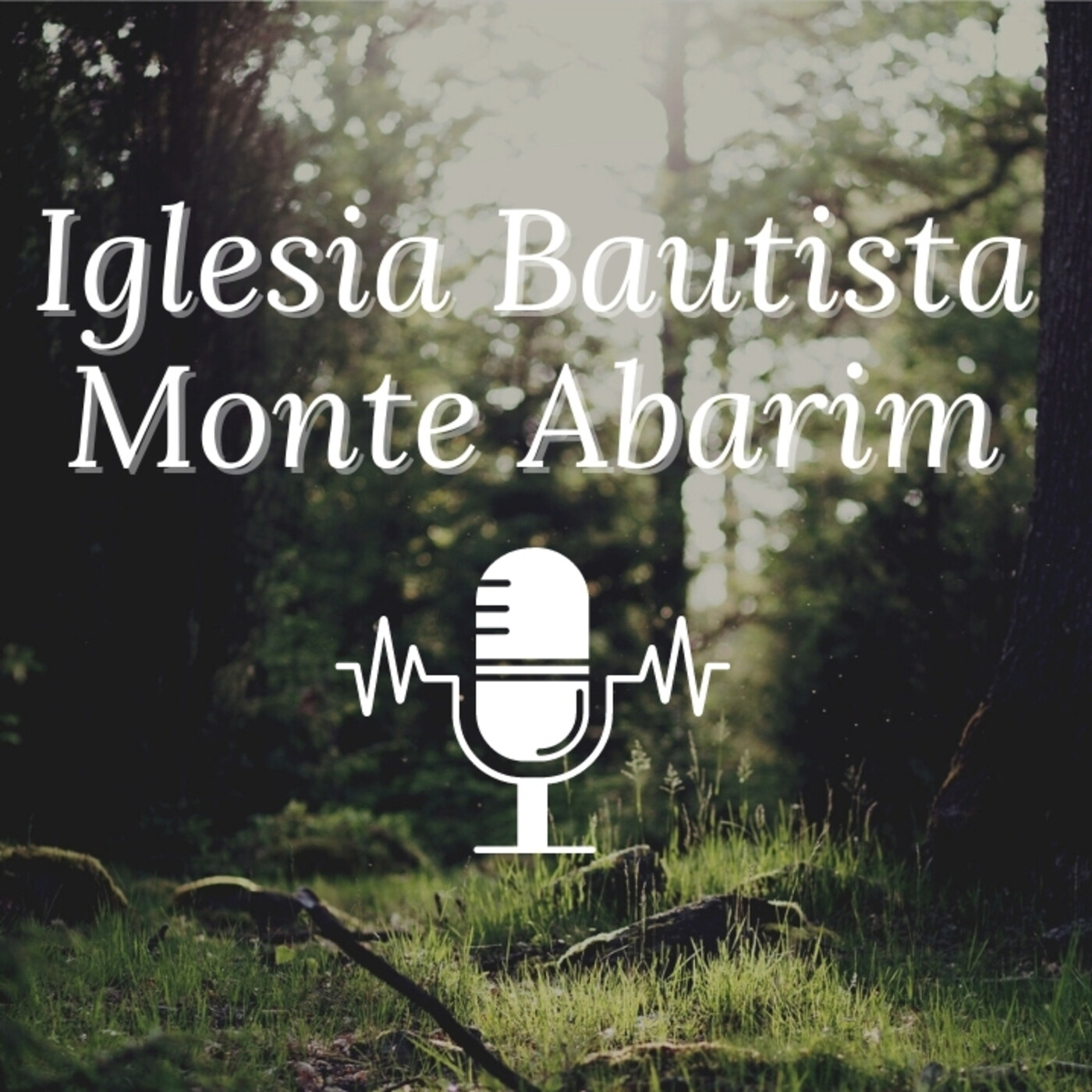 Iglesia Bautista Monte Abarim