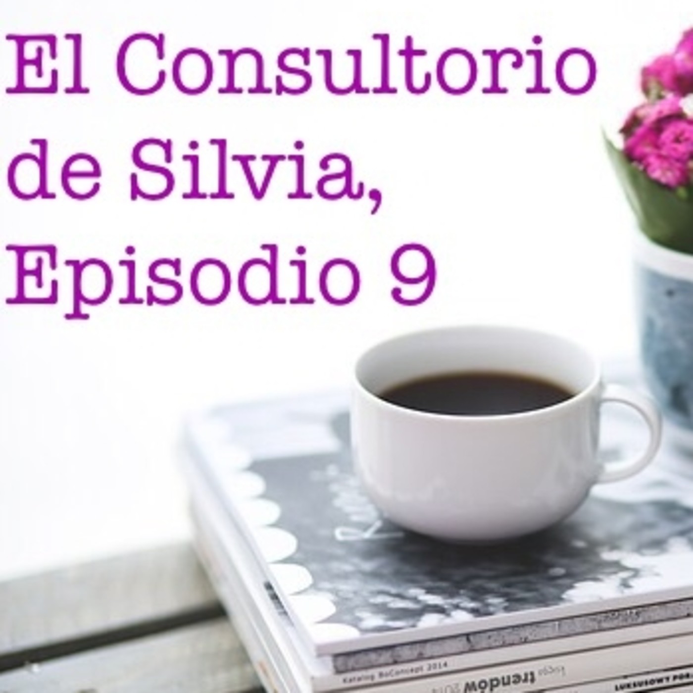 El Consultorio de Silvia