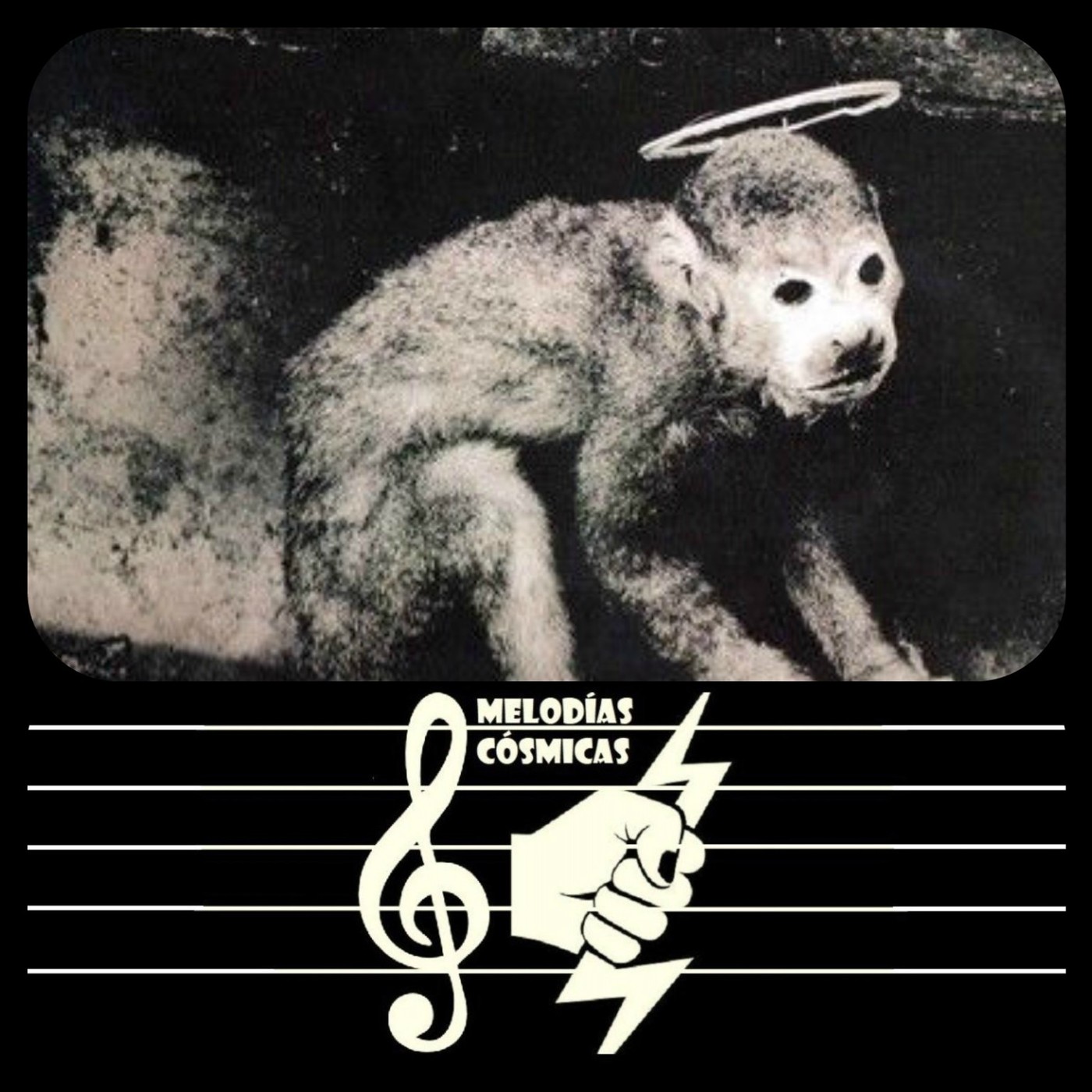 Pixies, Son Volt, Datura4, Zebra Hunt - Melodías Cósmicas 009 episode artwork