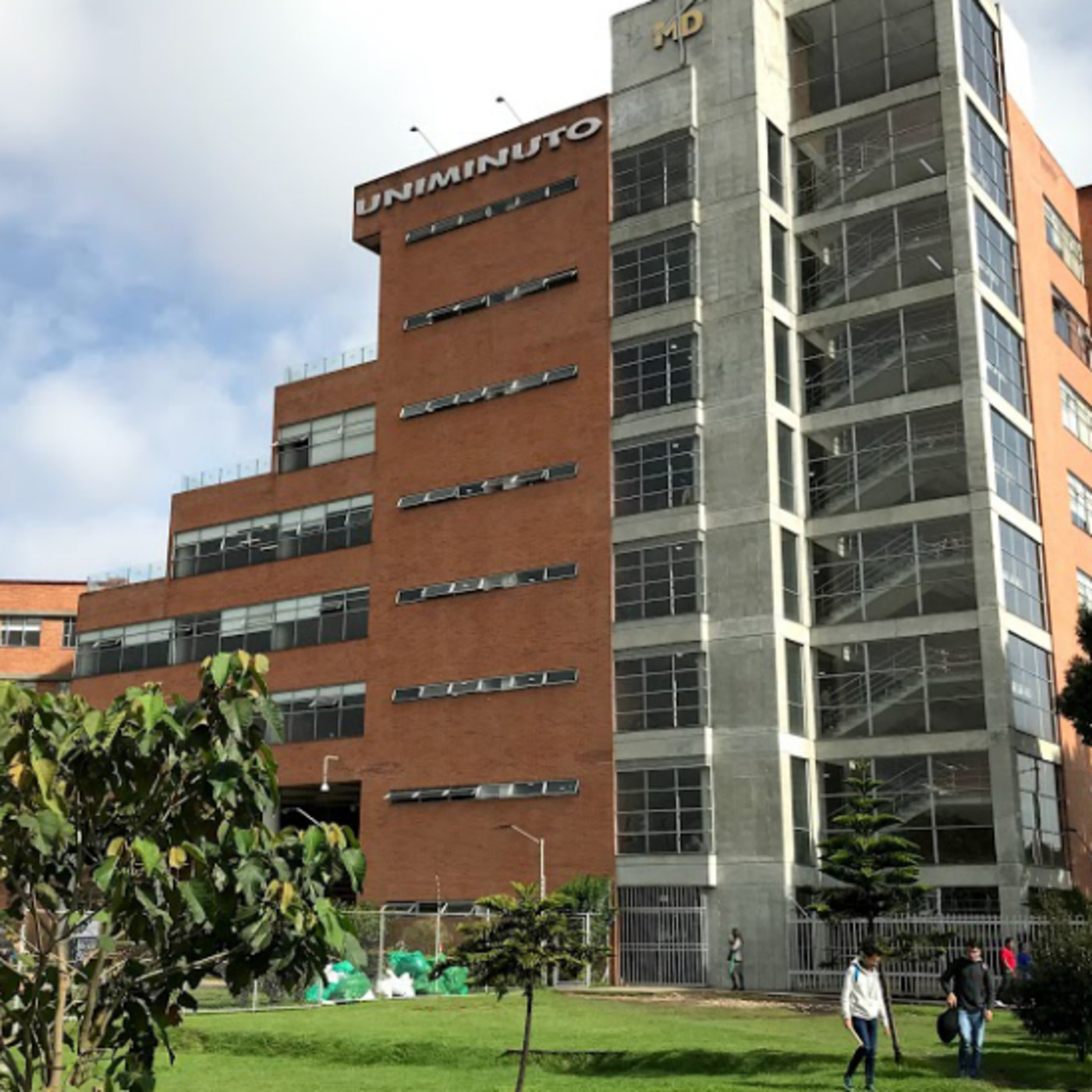 Stellita8