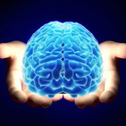 FDLI 3x07 El poder del cerebro, engaños e ilusiones