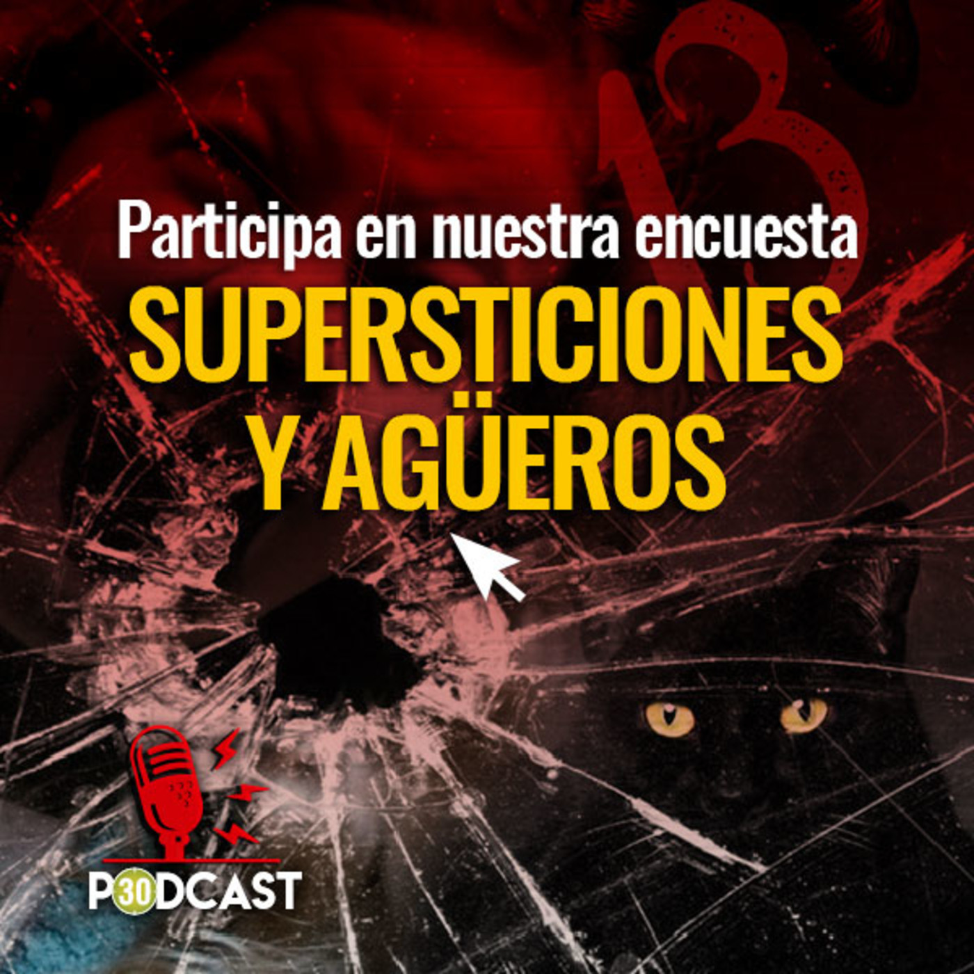 ENCUESTAS DE A PIE
