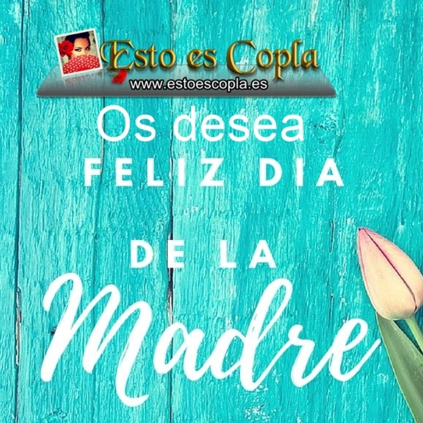 Estoescopla