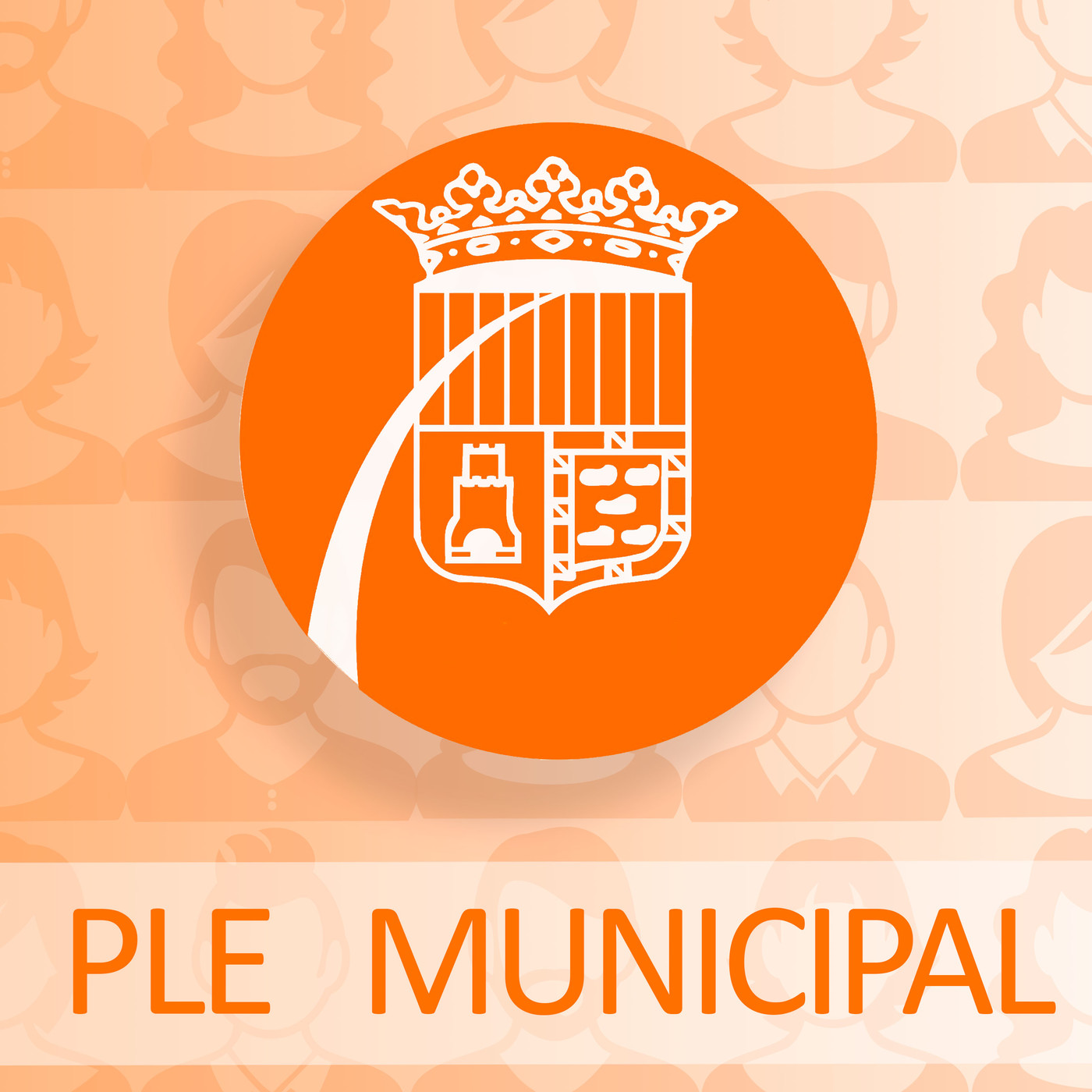 Ple municipal d'abril de 2019. L'anàlisi. episode artwork
