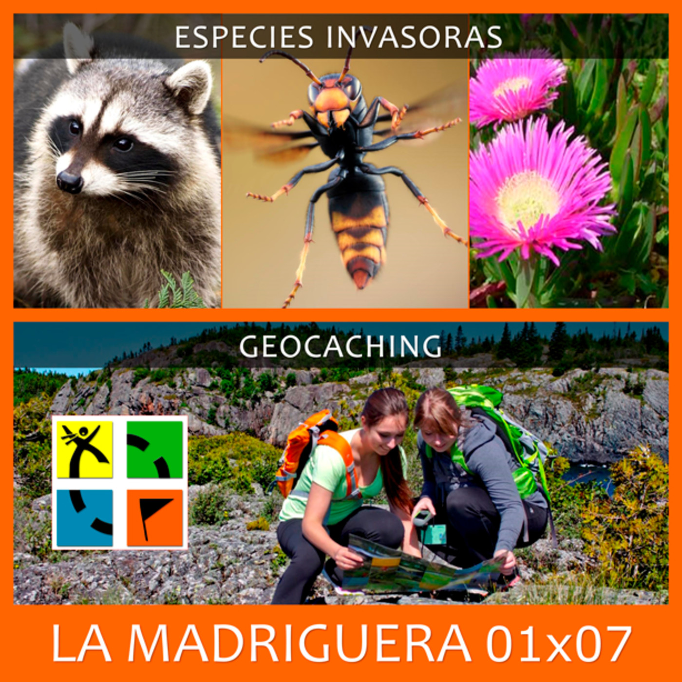 LA MADRIGUERA