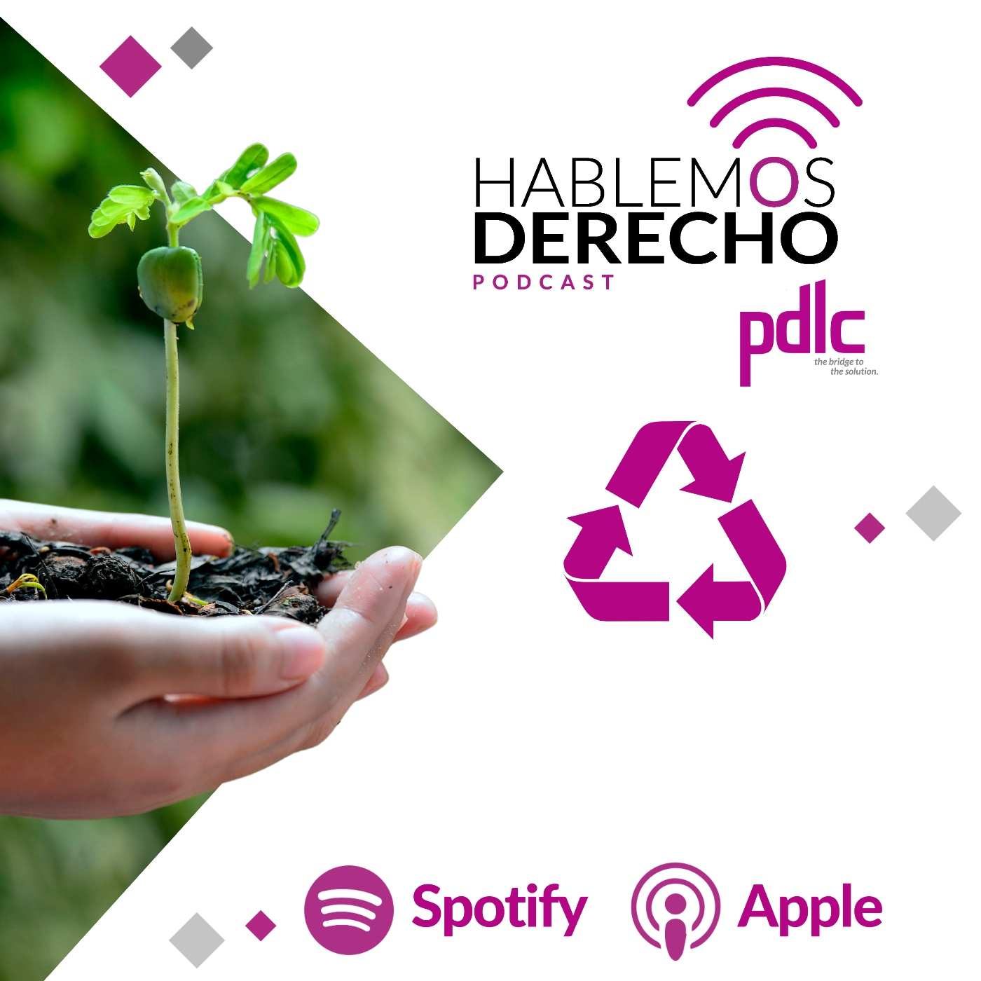 Hablemos Derecho con pdlc