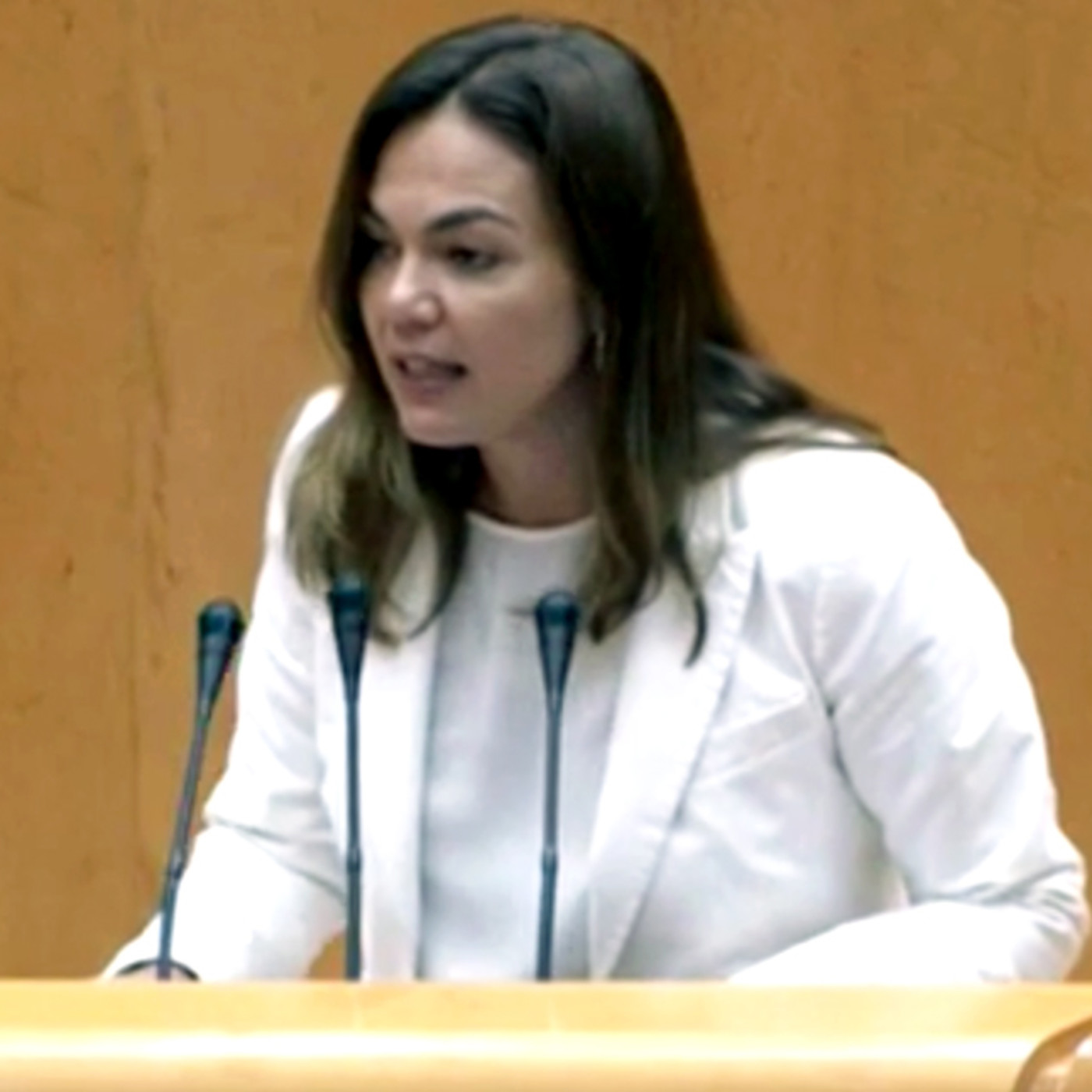 Nueva Canarias Senado