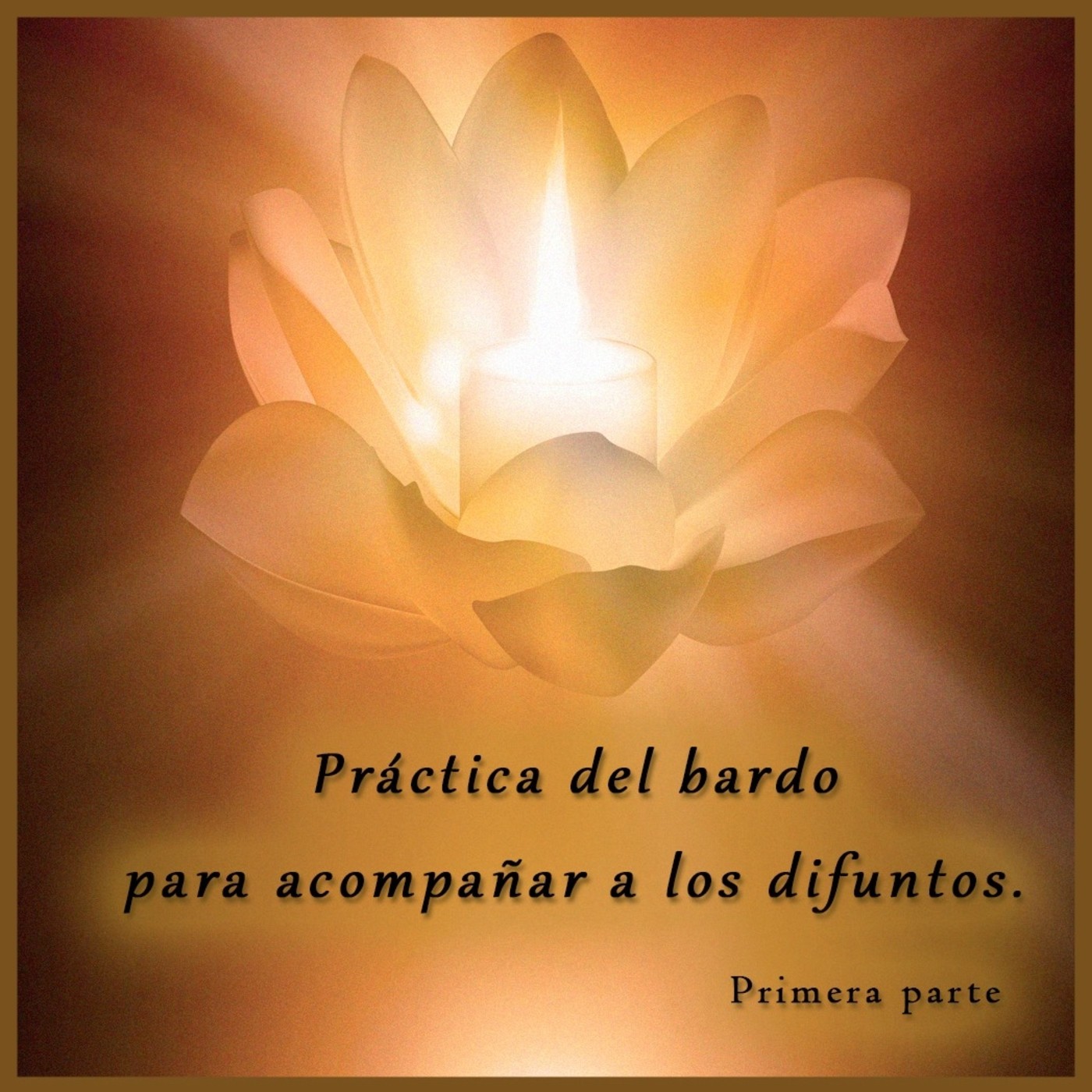 Meditación y Reflexión con Pedro Valencia