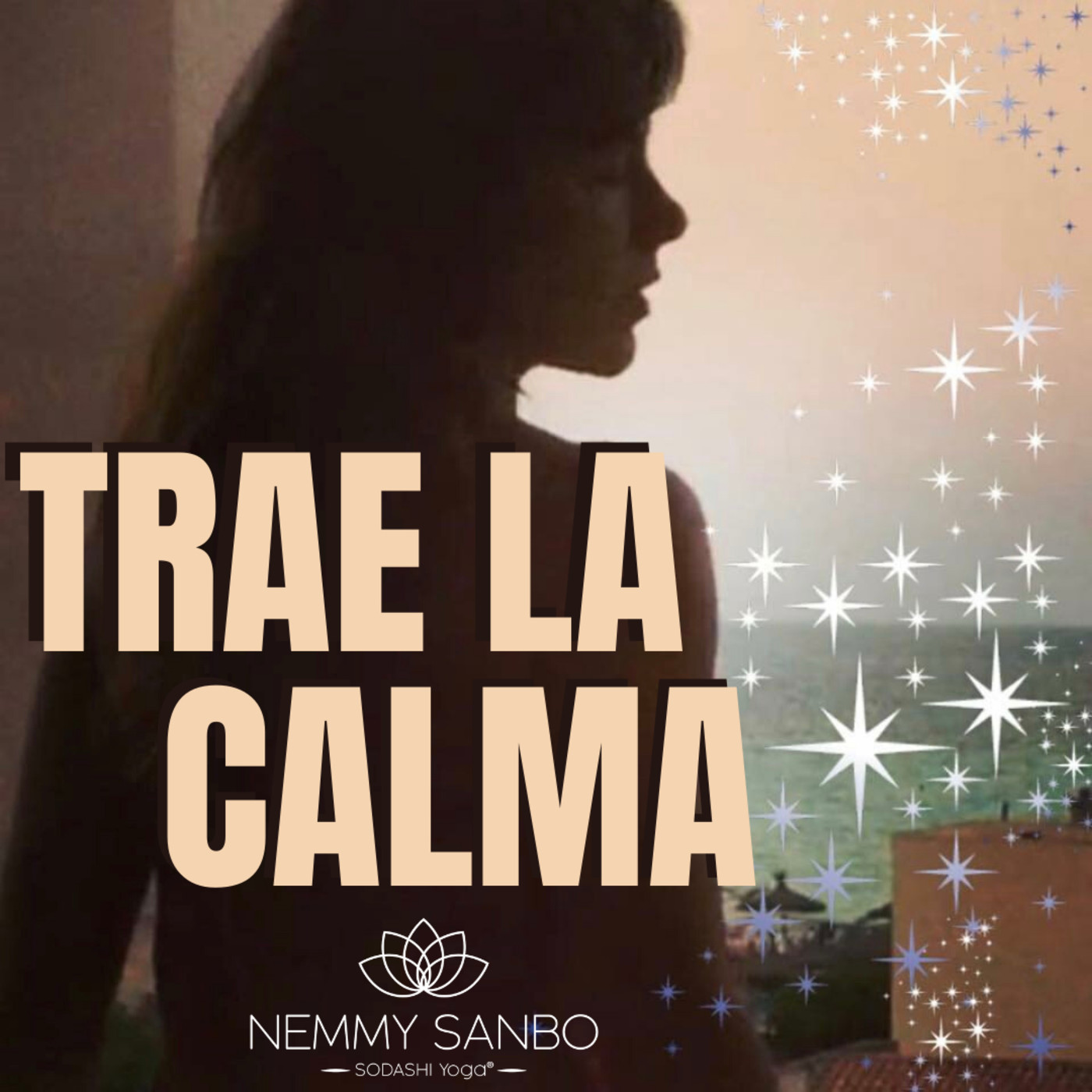Nemmy Sanbo Meditación