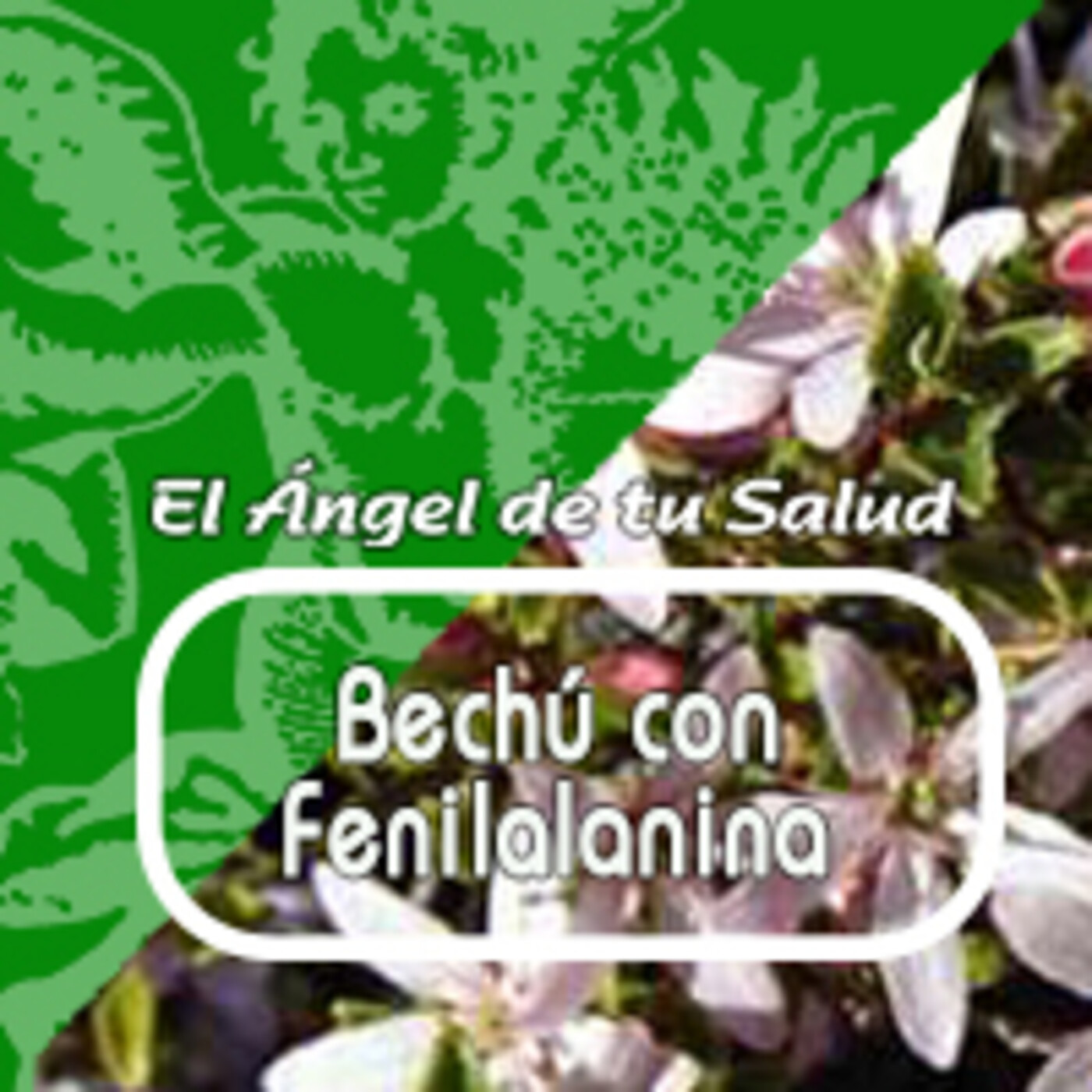 El Angel de tu Salud - BECHÚ CON FENILALANINA *** episode artwork