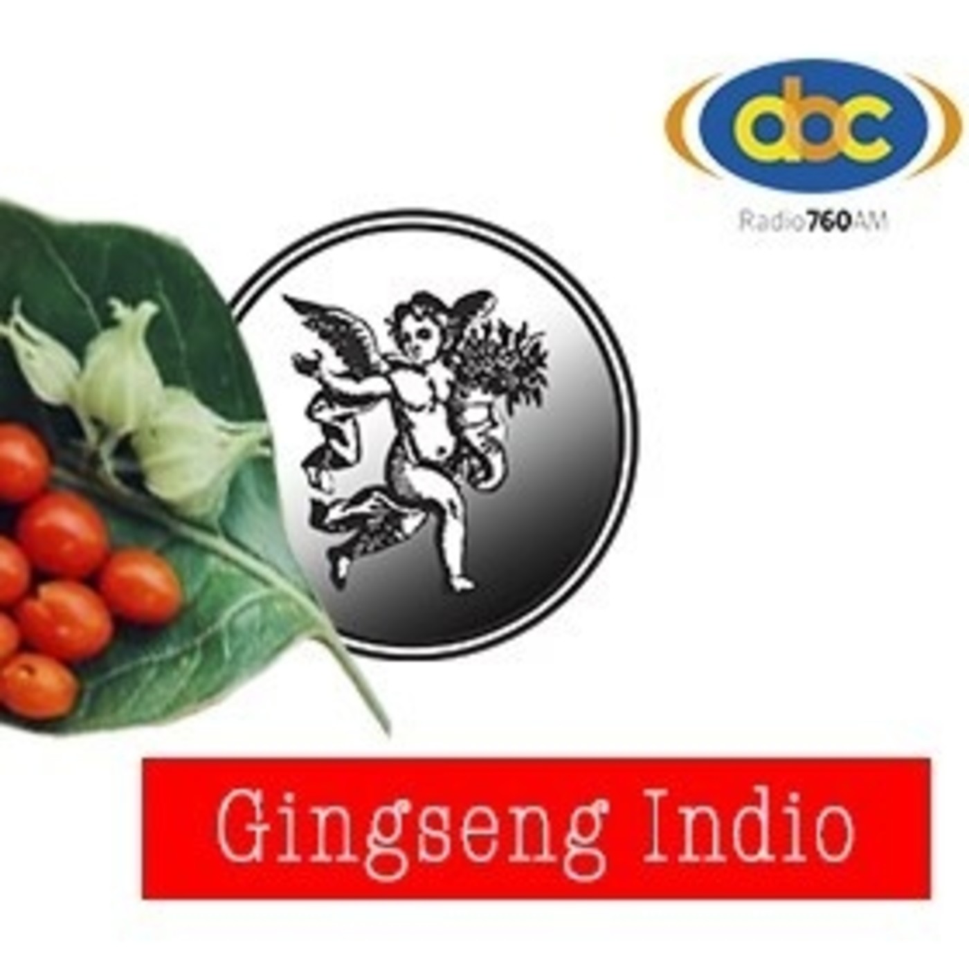 El Ángel de tu Salud - GINSENG INDIO episode artwork