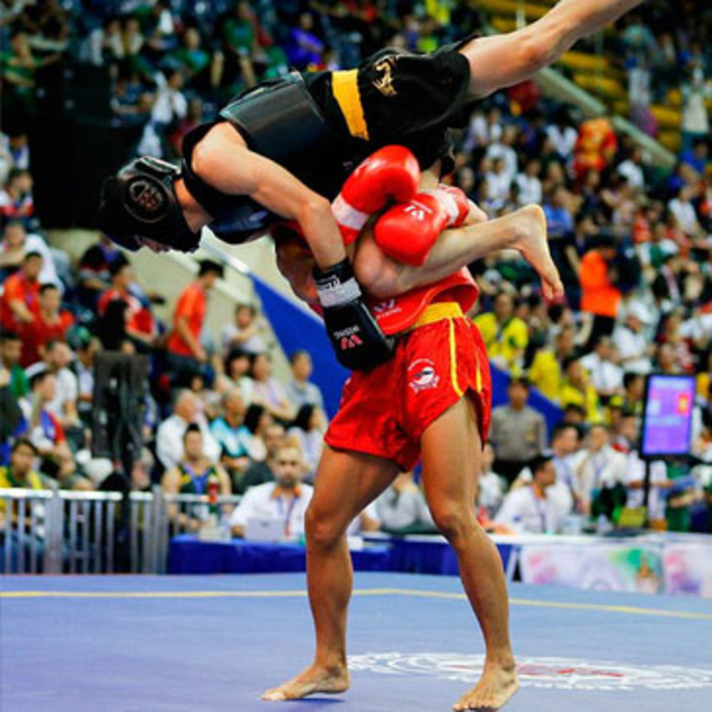 Dragonz | Artes Marciales y Deportes de Contacto