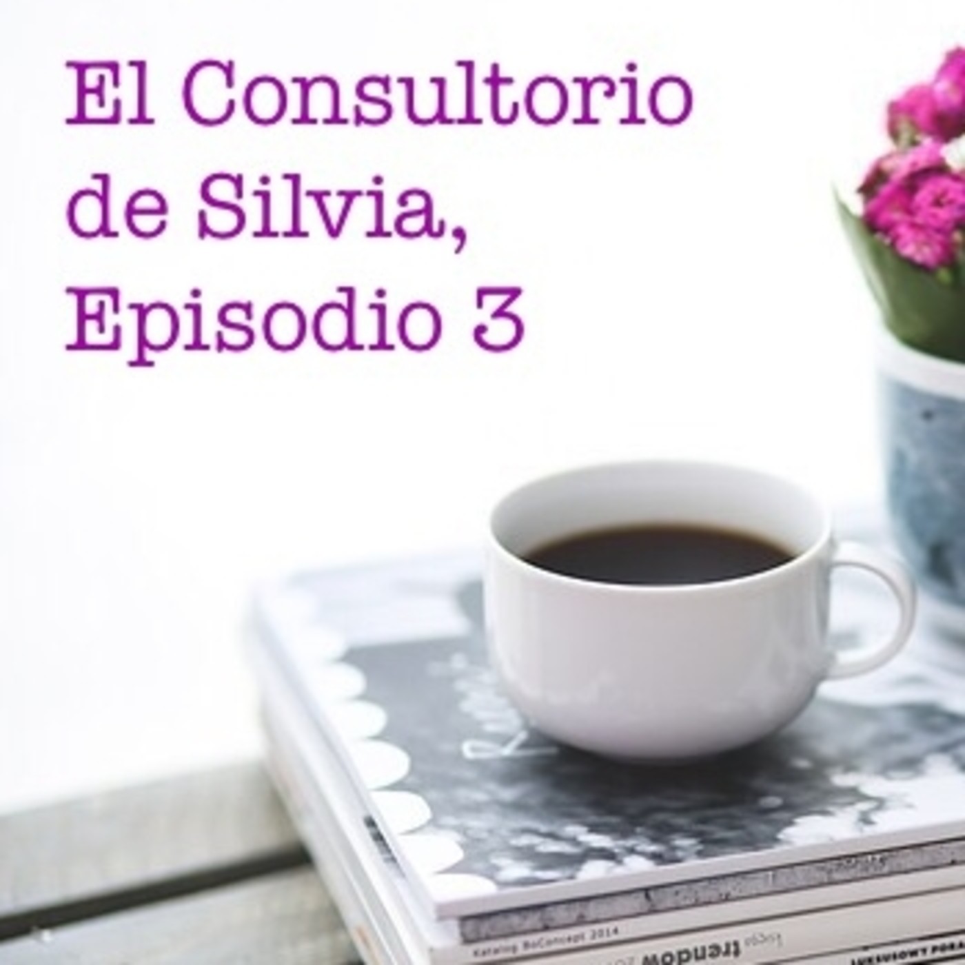 El Consultorio de Silvia