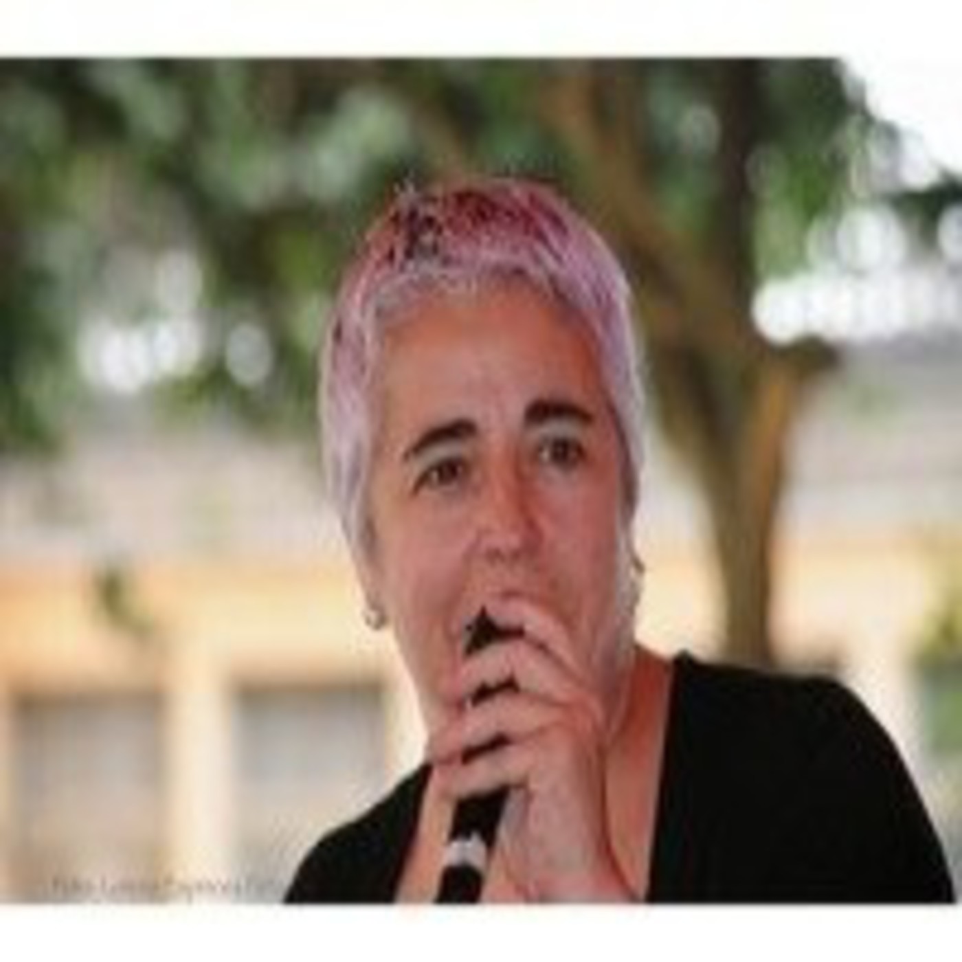 Programas y micros de la Radio del Sur