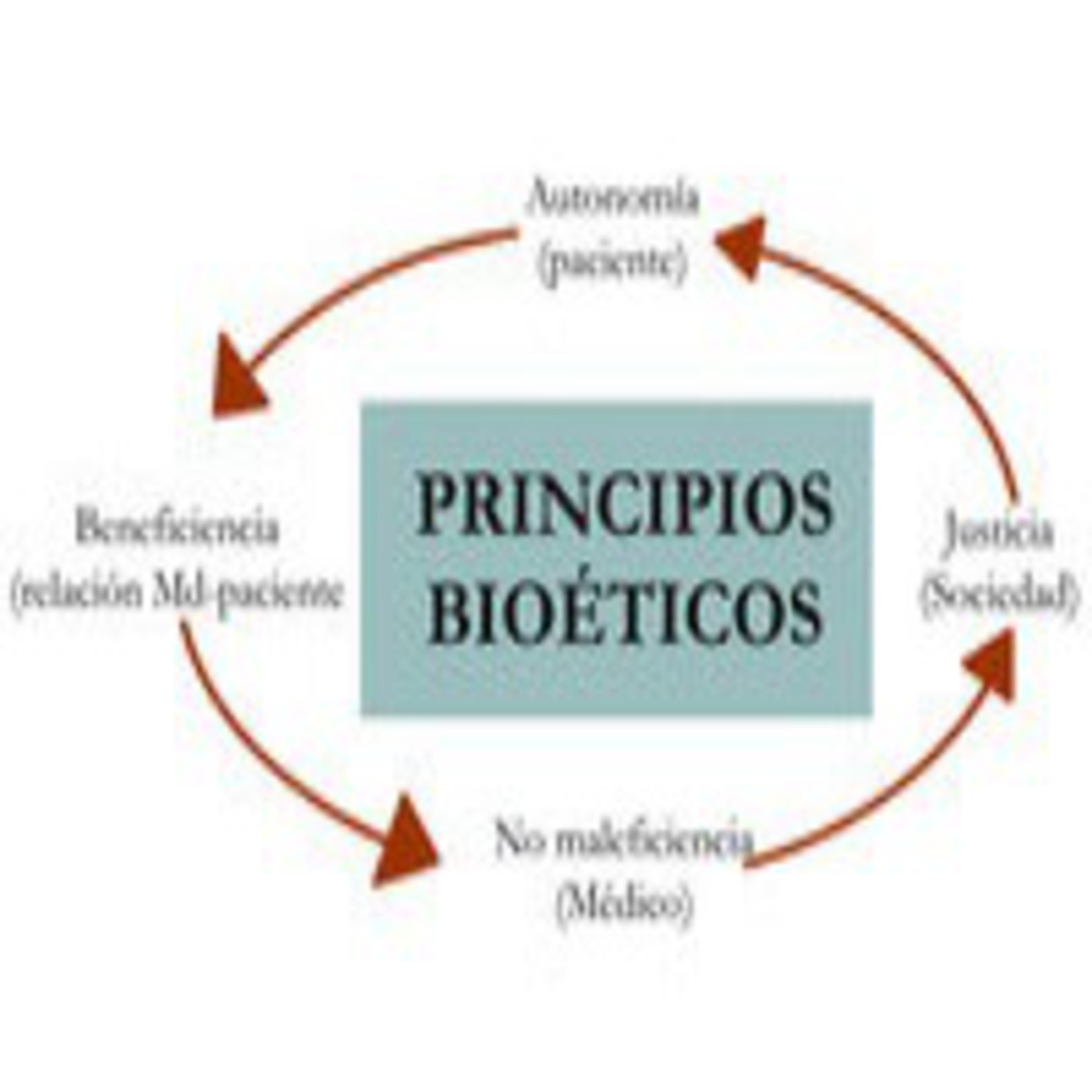 Unidad 1. Introducción al estudio de la endodoncia