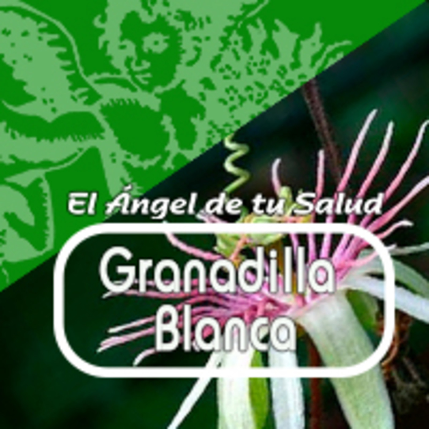El Angel de tu Salud - GRANADILLA BLANCA* episode artwork
