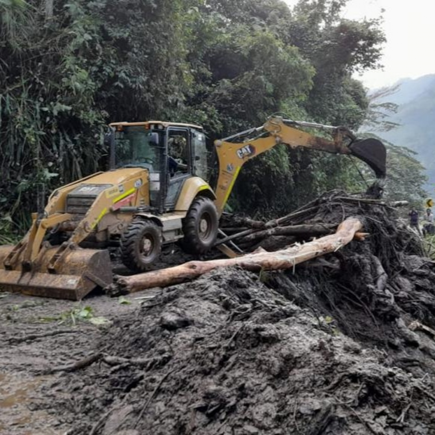 El Cronista Ibagué