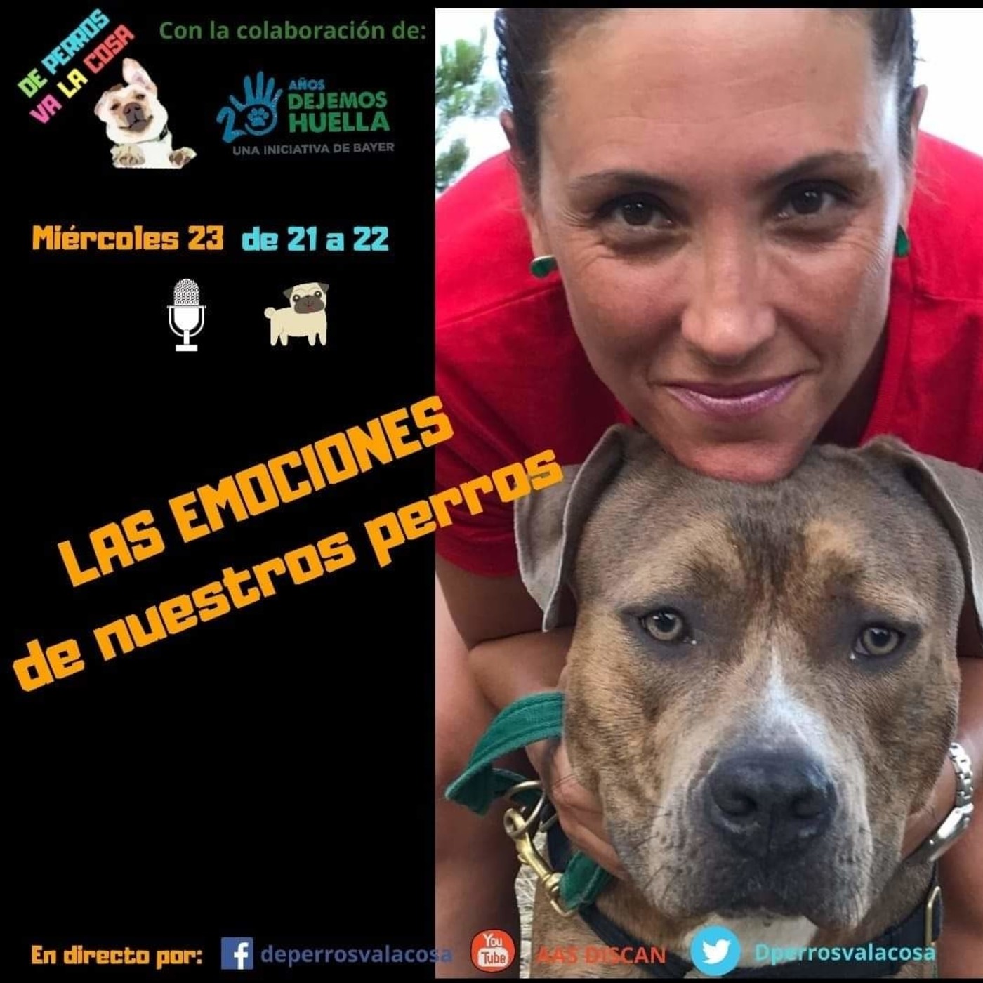 De perros Va la cosa