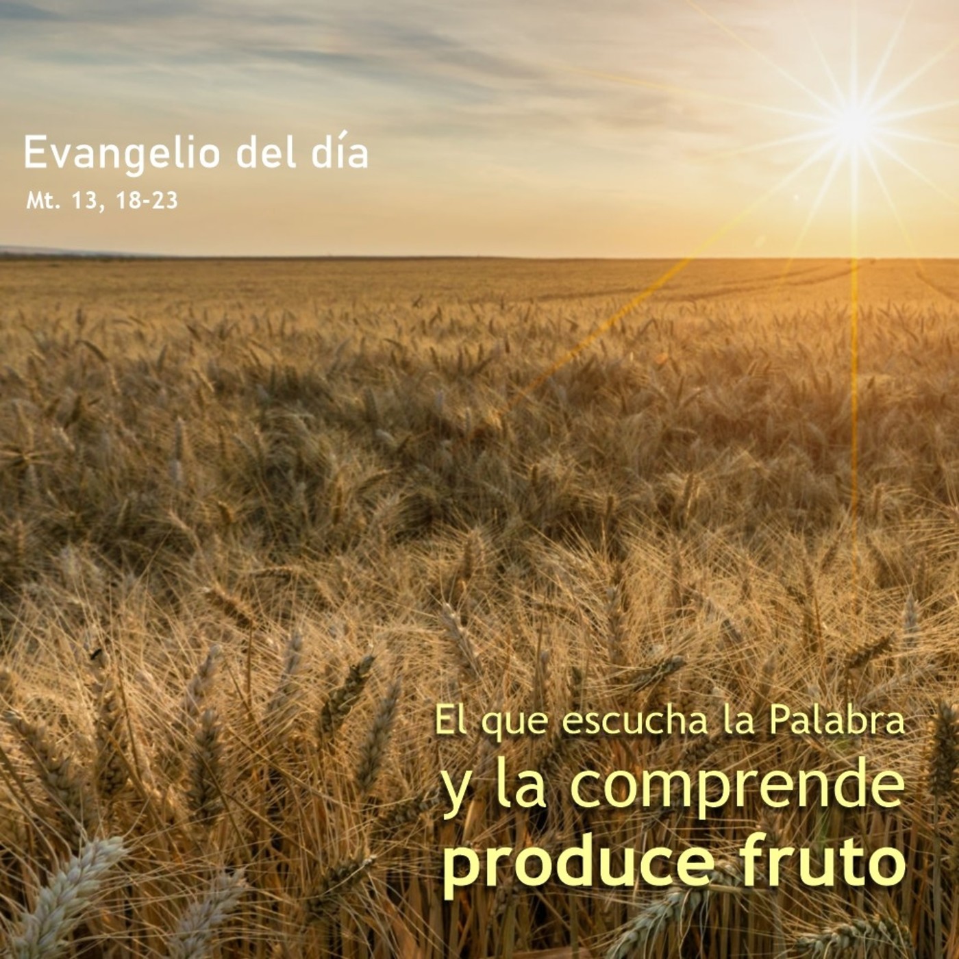 24 de julio de 2020