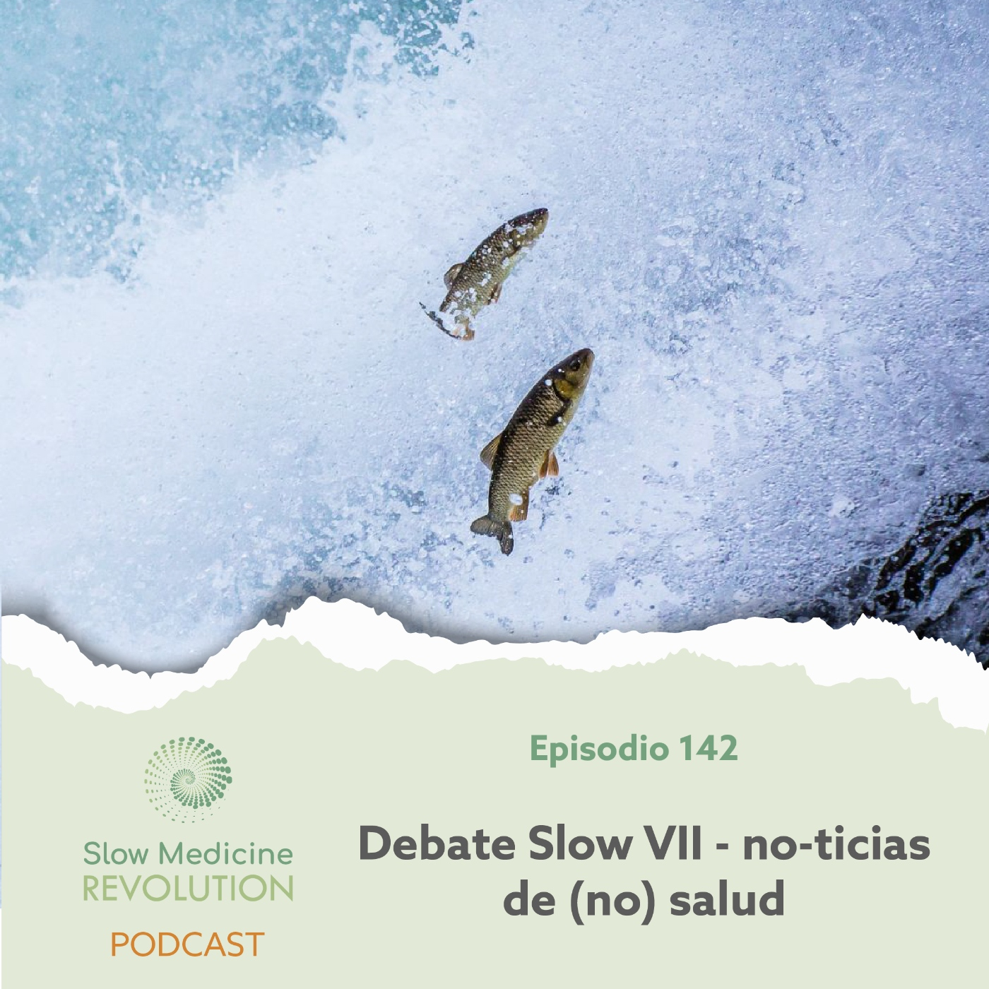 142 - Debate Slow VII - no-ticias de (no) salud