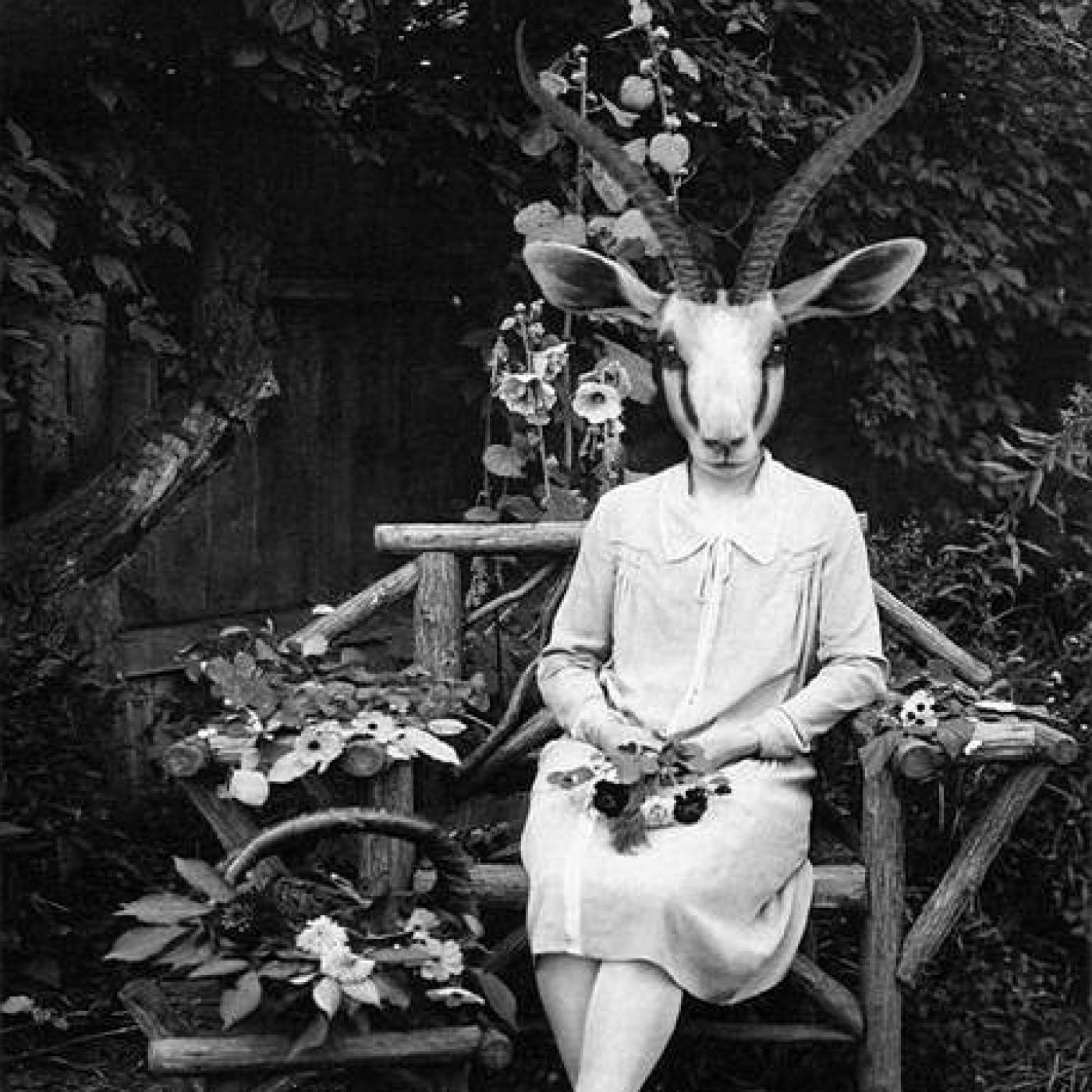 //Fanzin Photomaton Radial//