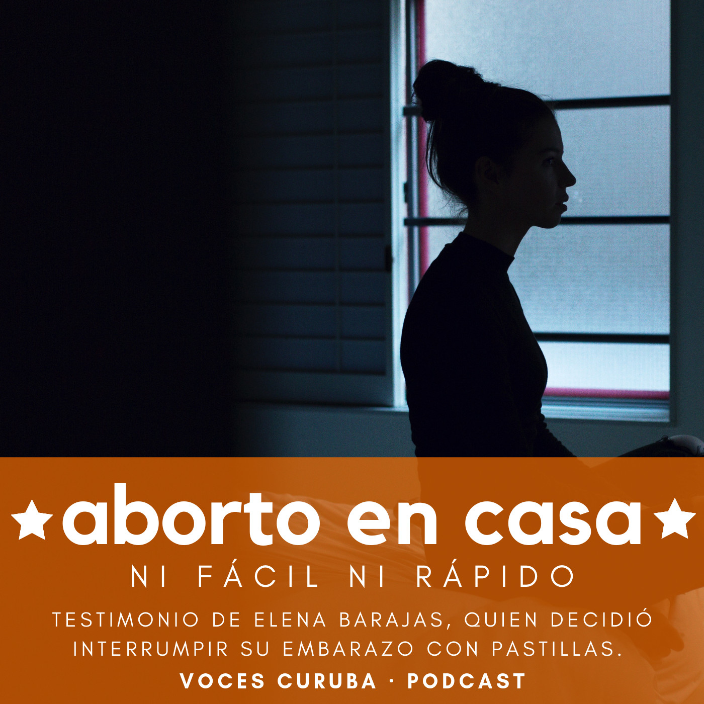 Aborto voluntario, ni fácil ni rápido episode artwork