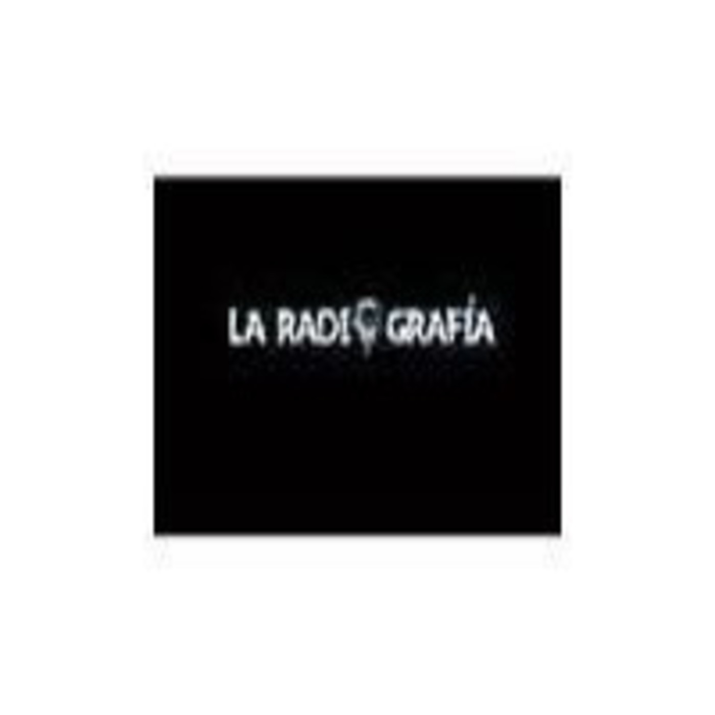 Programa 58 La Radiografía (30-12-2013)