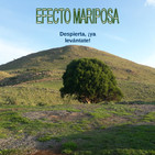 Episodio 16. Efecto mariposa Despierta, ¡ya levántate!