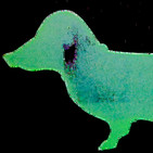 Salud Mental con Los Perro Verde: Información, desestigmatización y prevención