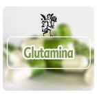 El Angel de tu Salud - GLUTAMINA*