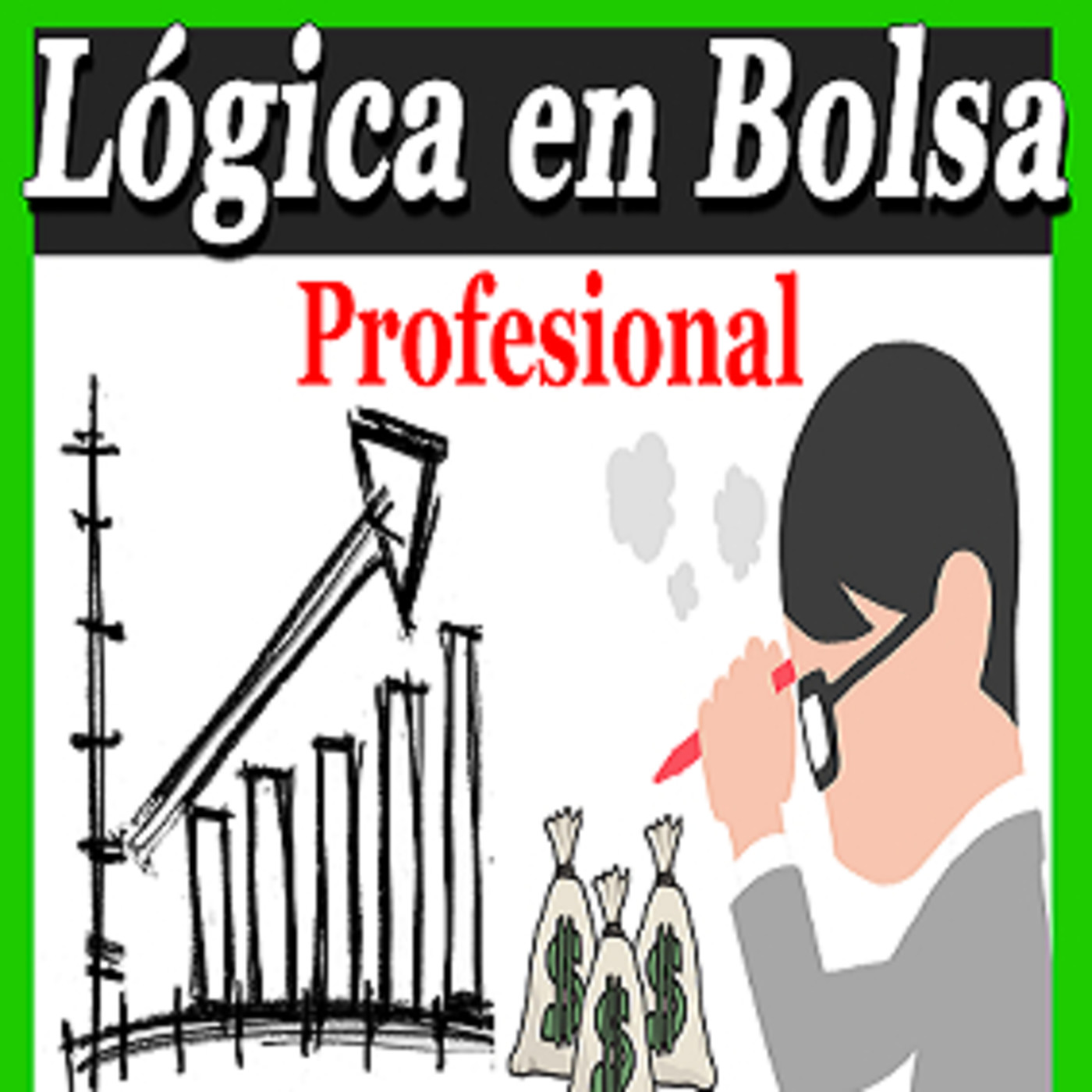 Bolsa para Principiantes