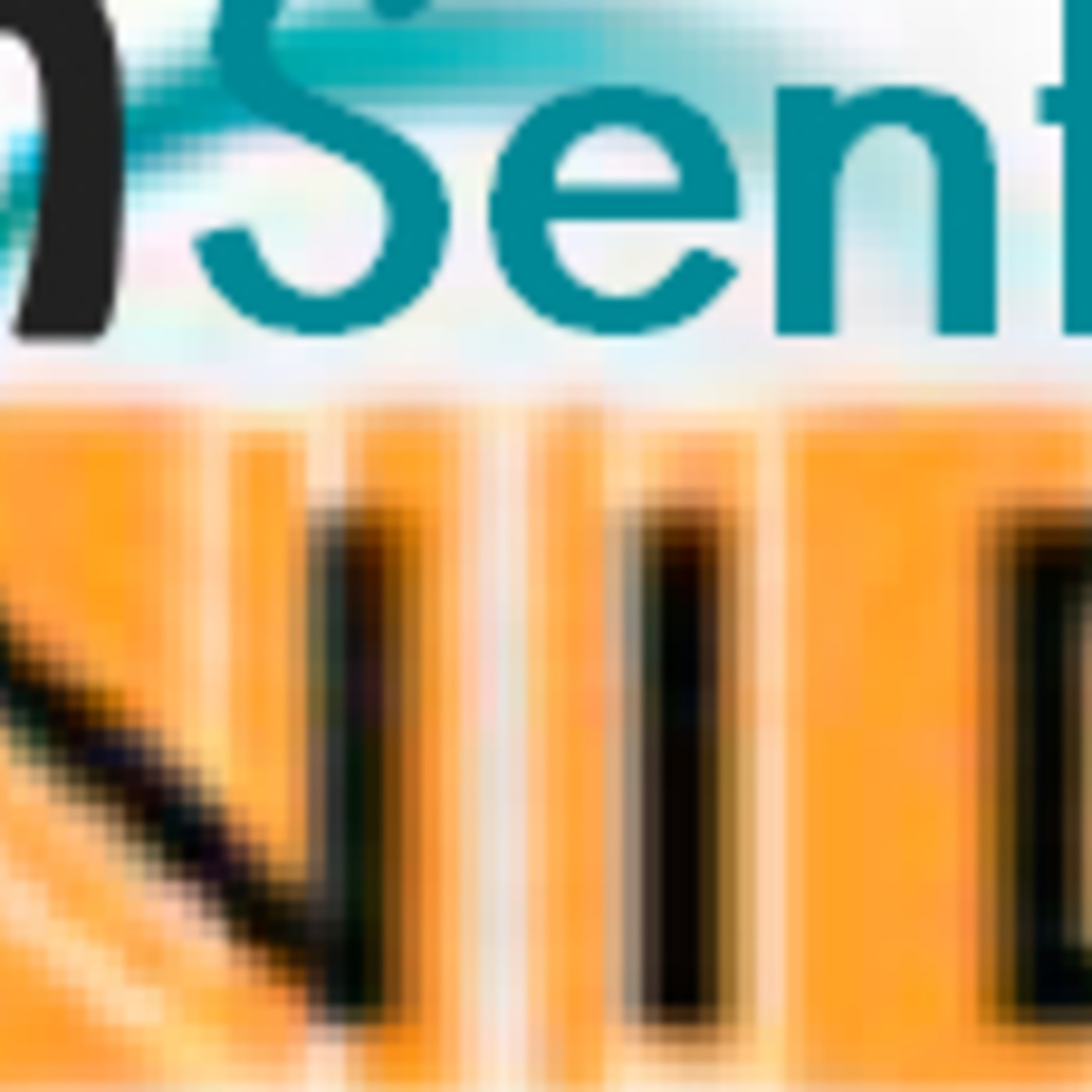 ConSentido