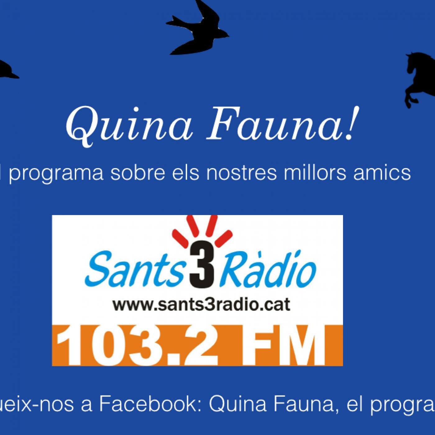 Quina Fauna