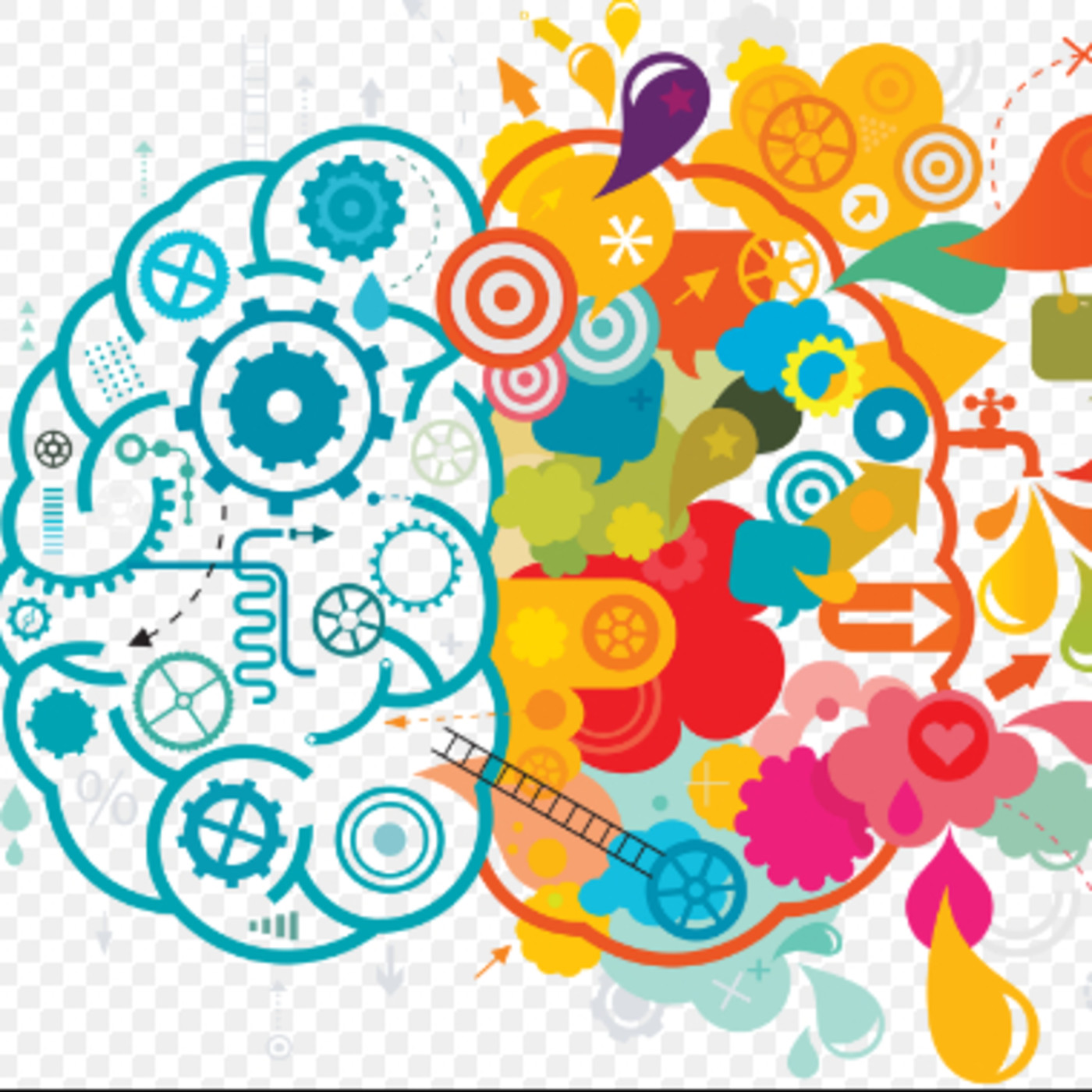 programayolotransformo