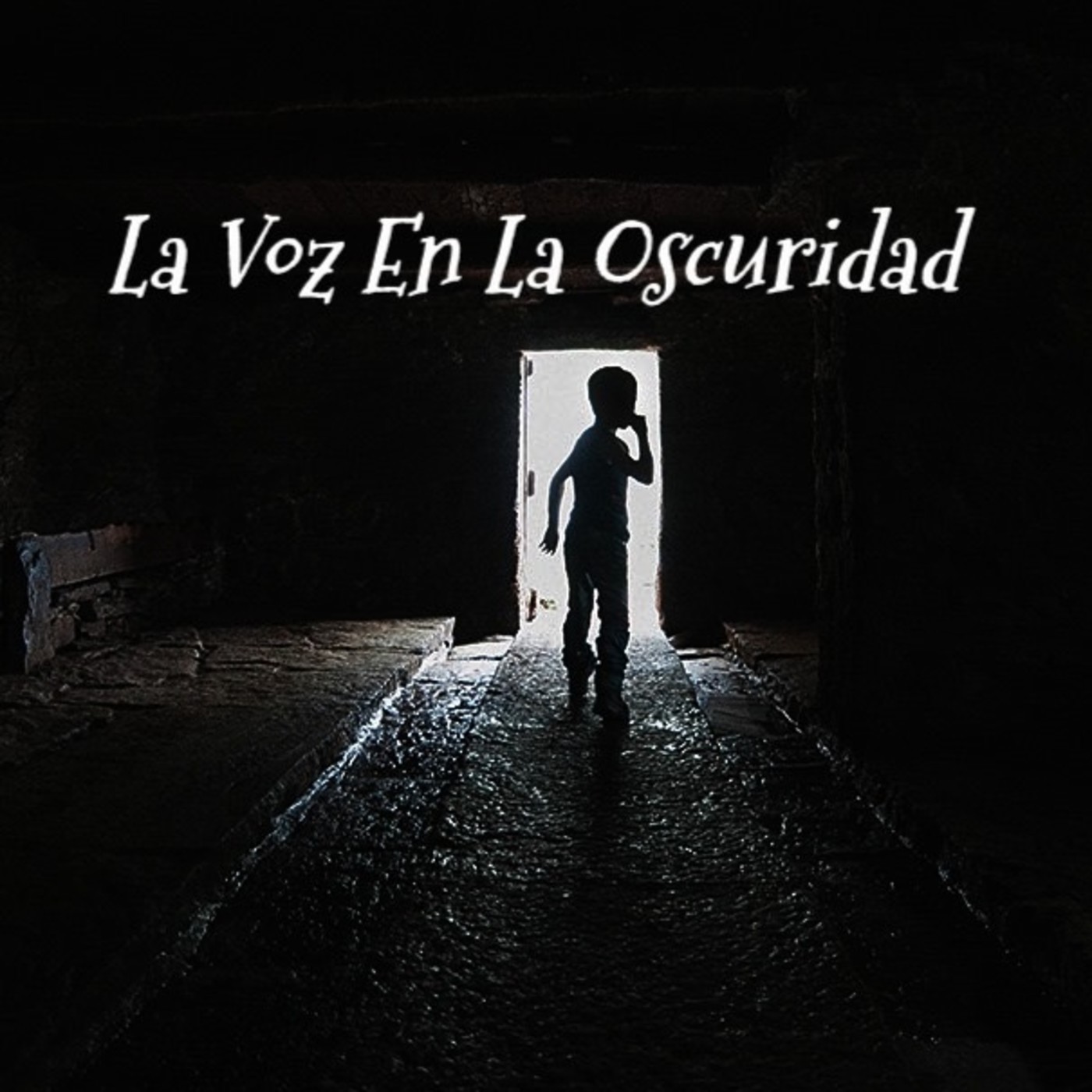 La Voz en la Oscuridad
