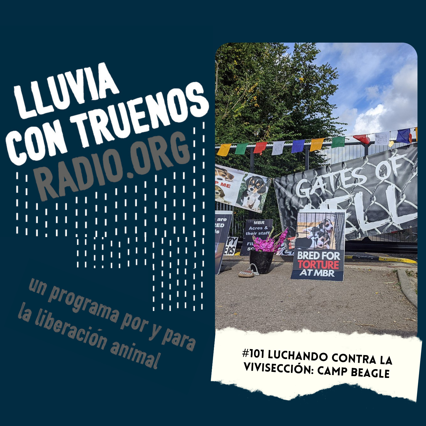 Lluvia con truenos radio