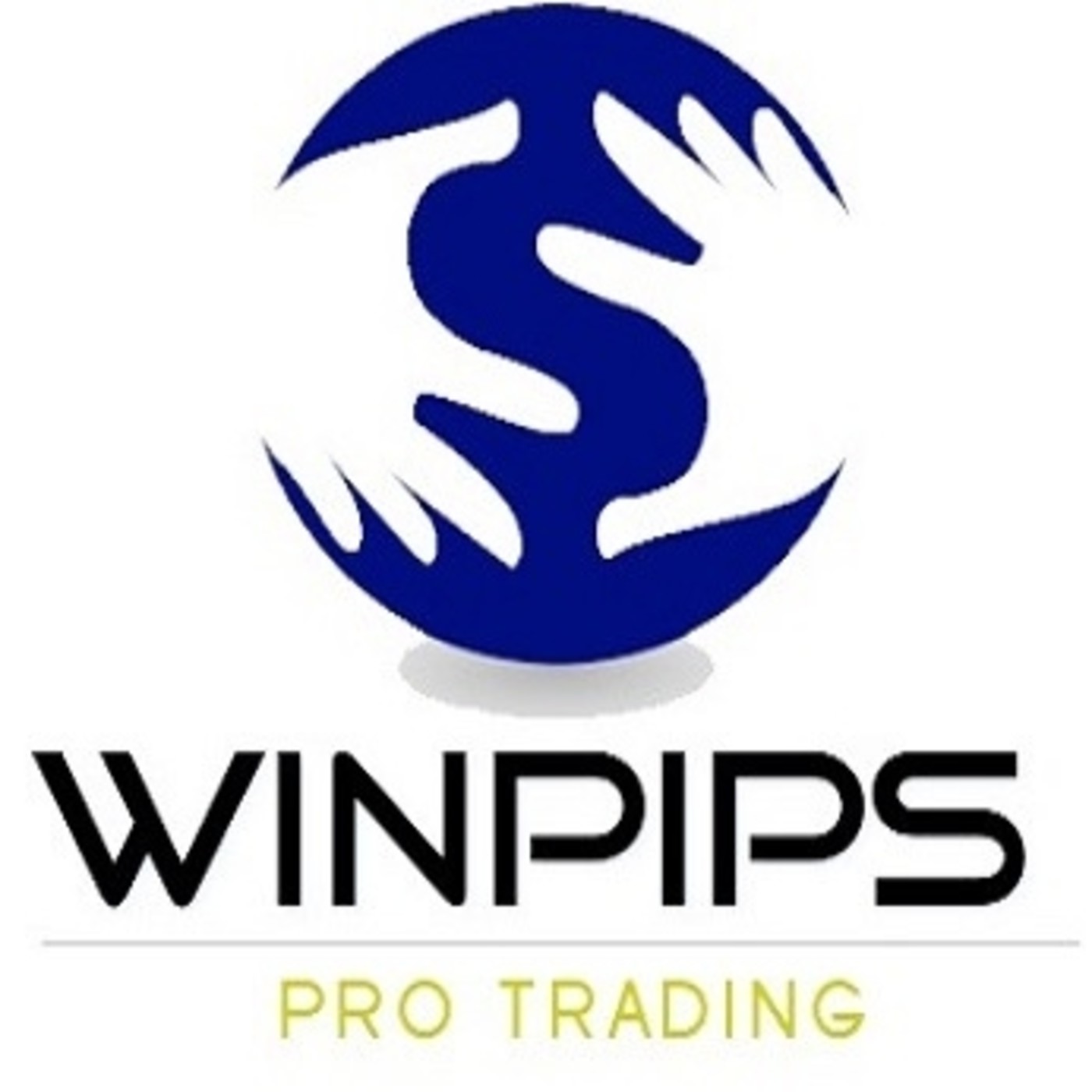 Psicotrading - 5 actitudes a evitar | Winpips Psicotrading - 5 actitudes a evitar | Winpips