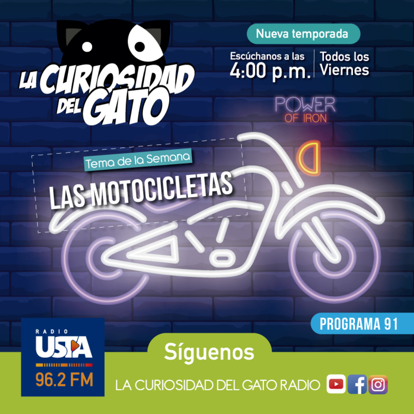 La Curiosidad del Gato
