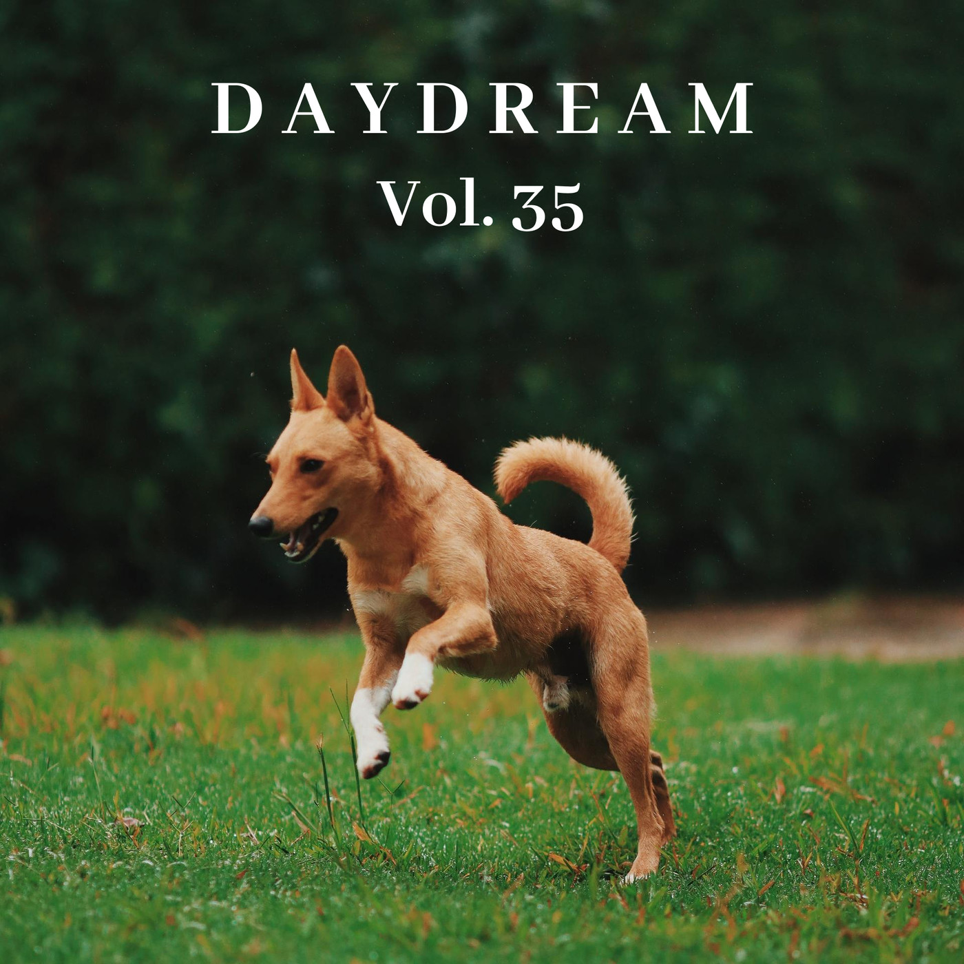 DayDream Vol. 35