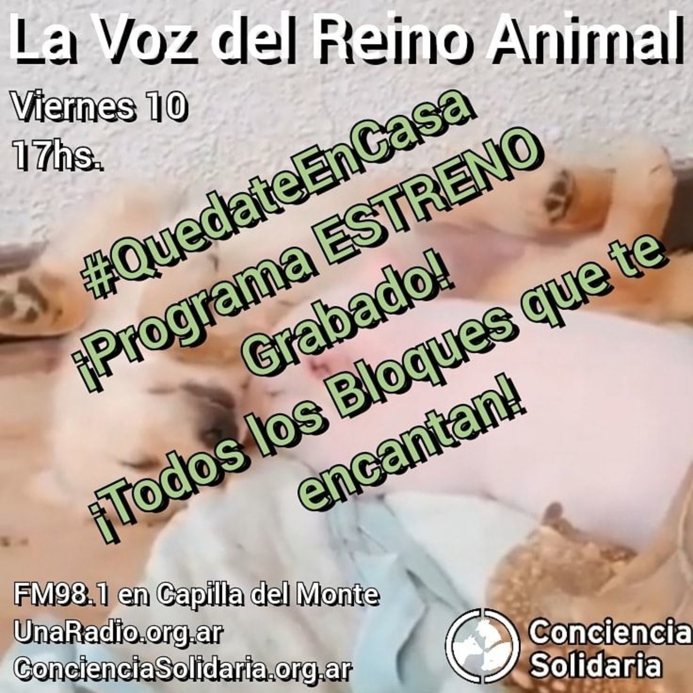 #LaVozDelReinoAnimal 10.04.2020 episode artwork