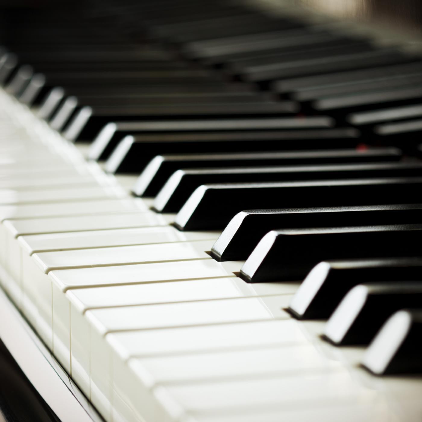Catas Musicales